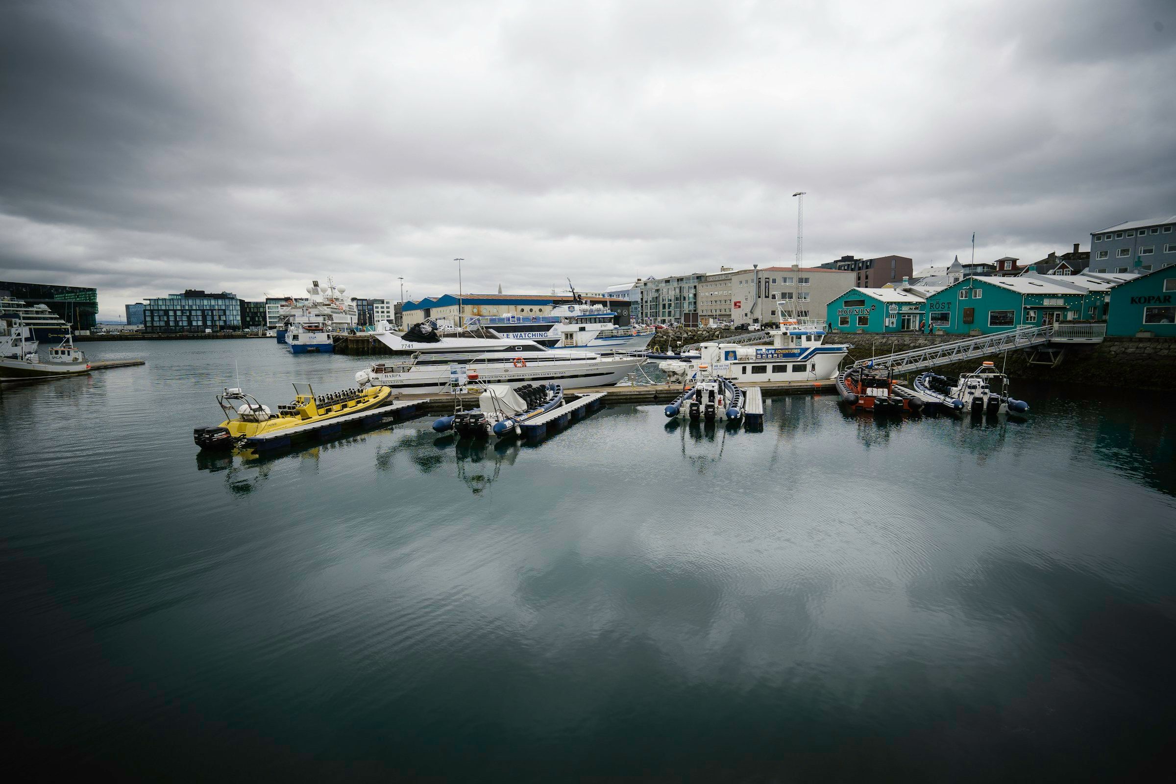 Day 2. Reykjavik harbour, first walk