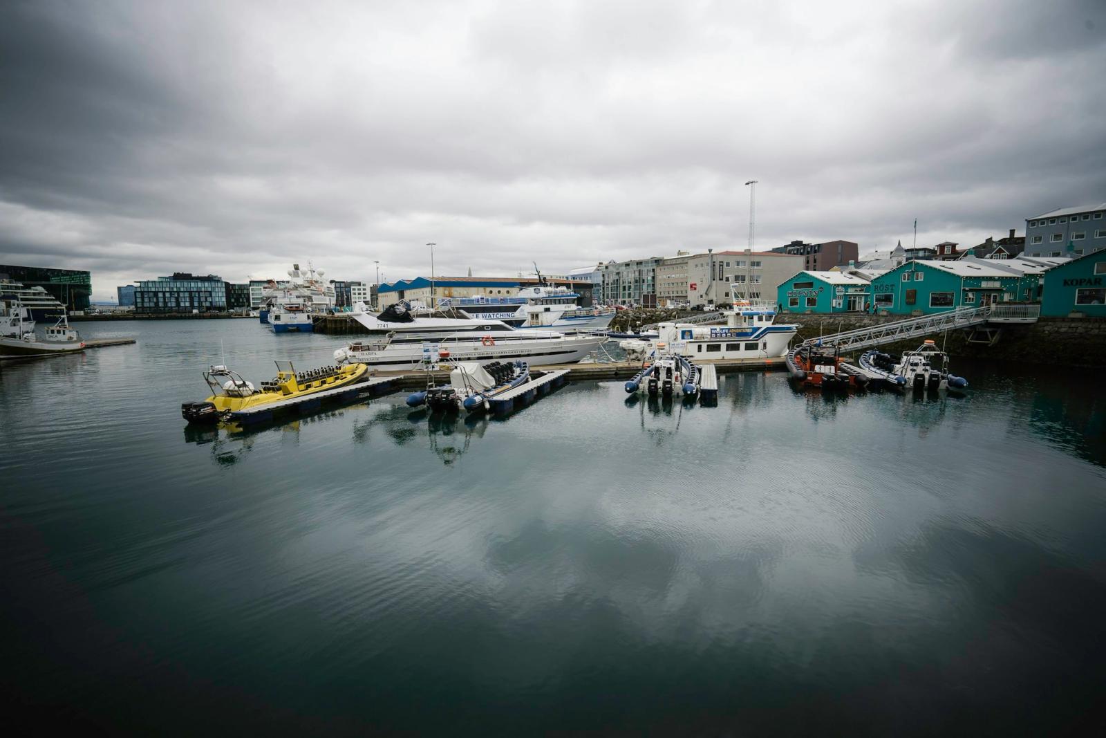 Reykjavik harbour, first walk, Reykjavik, Iceland