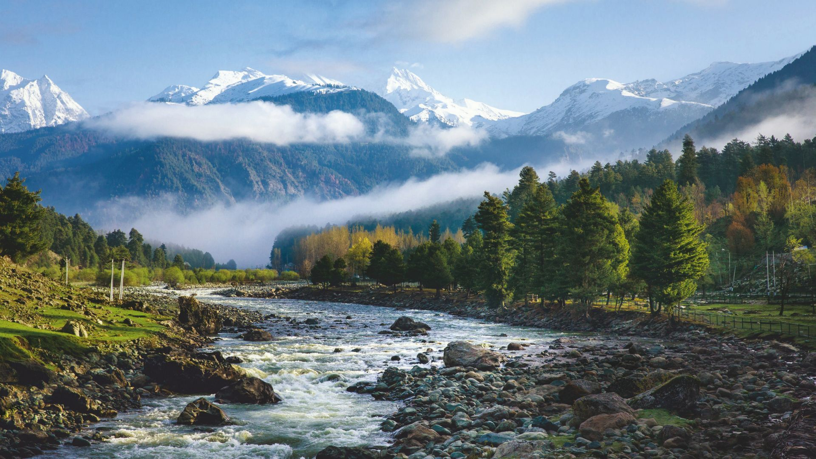 A rushing mountain stream winding through pine forest below snow-capped peaks