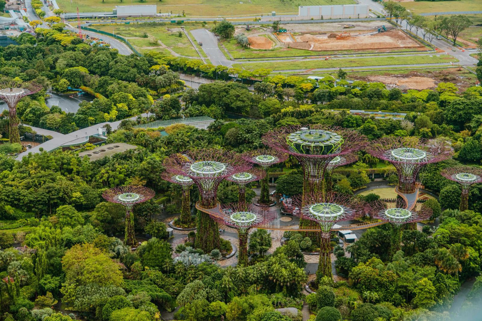 Stunning aerial photo showcasing Supertree Grove at Gardens by the Bay, Singapore