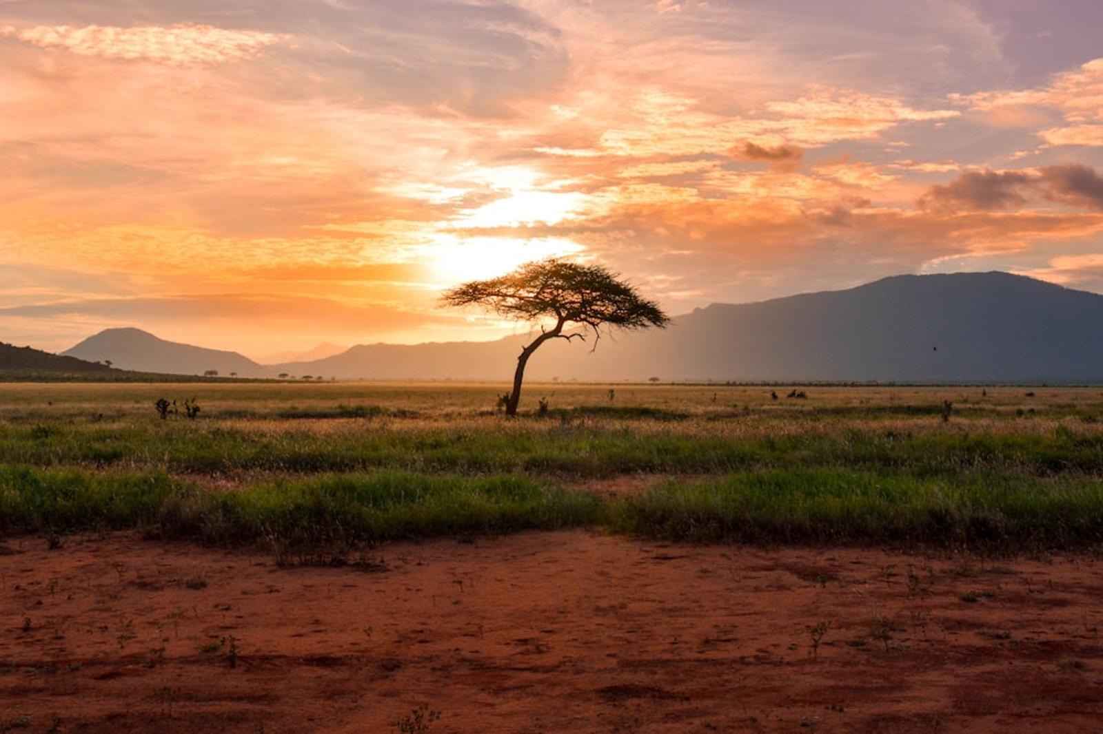 Serengeti game drives