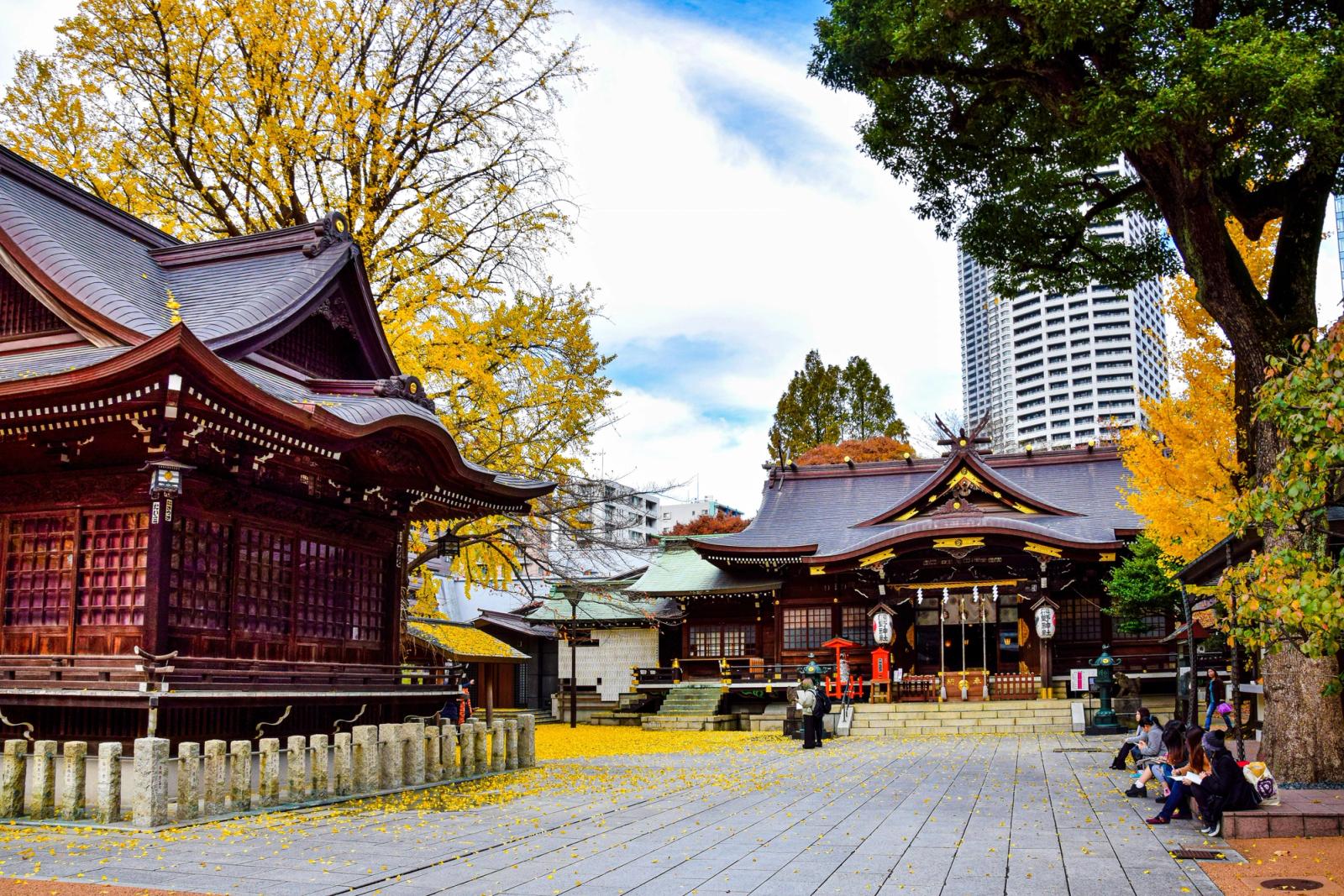 A stunning view of Juniso Kumano Shrine in Tokyo amidst autumn foliage