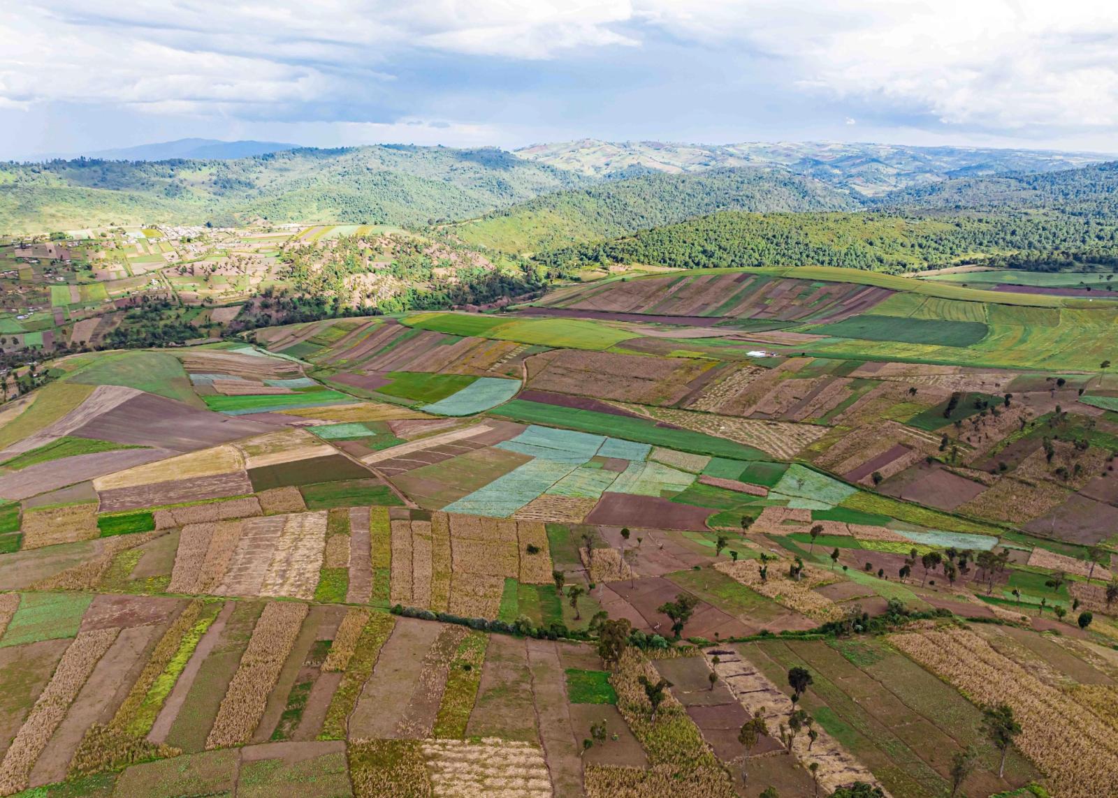 Vibrant aerial landscape of patchwork farmlands in Mau Narok, Kenya, showcasing diverse agricultural patterns