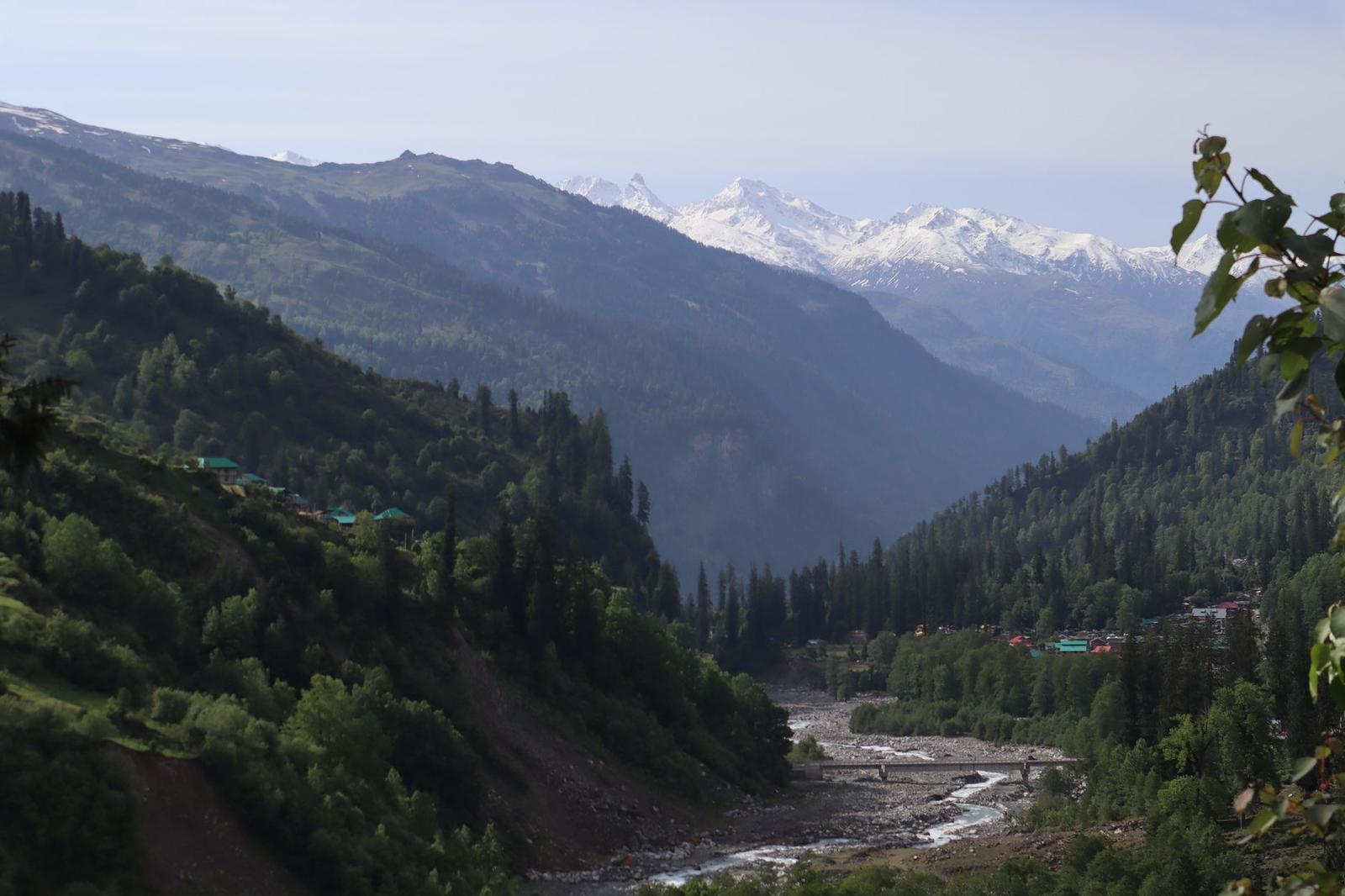 A river valley below forested slopes with snow-capped peaks in the distance