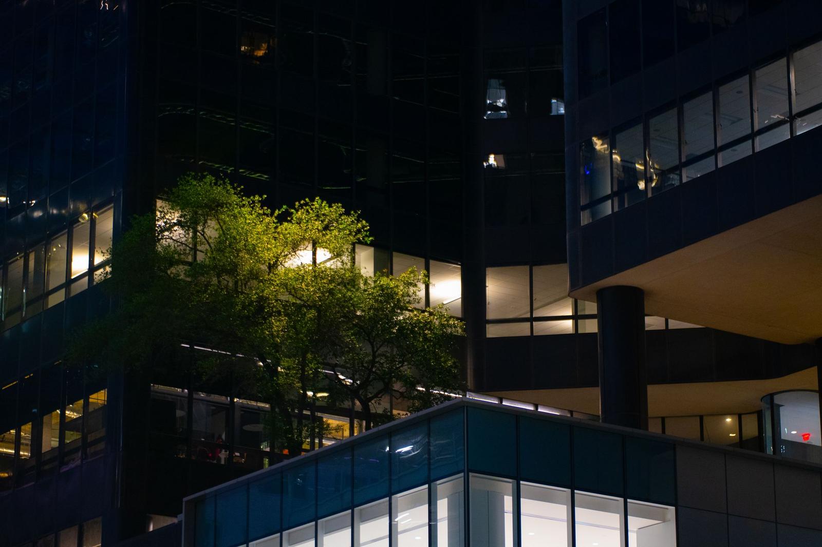 Aberdare architecture at night