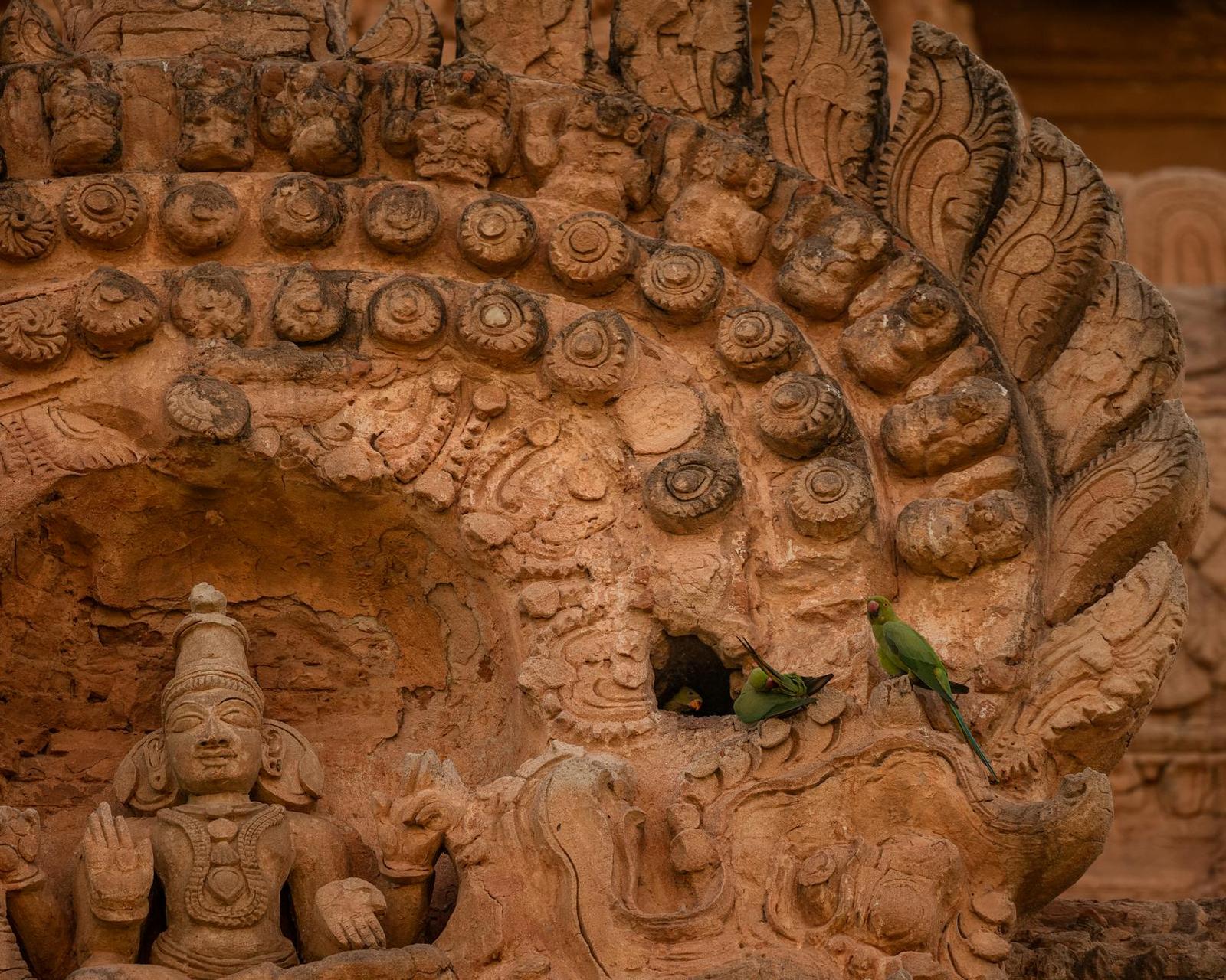 Two green parakeets perched beside a carved stone deity niche