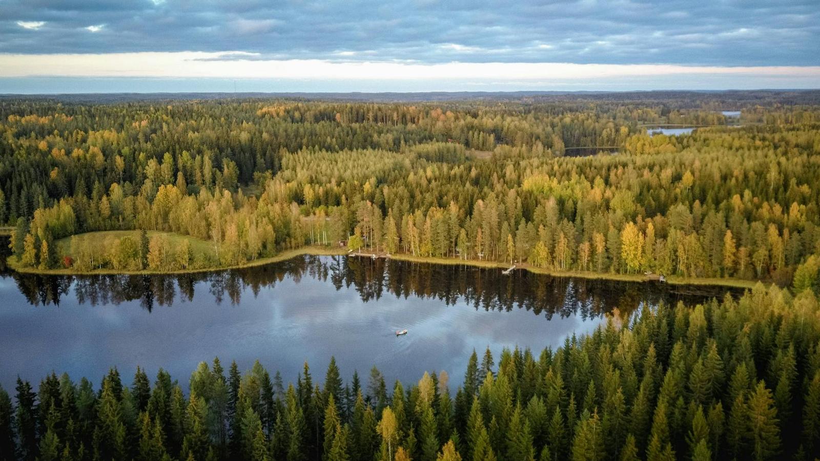 Aerial view of a still lake winding through dense forest