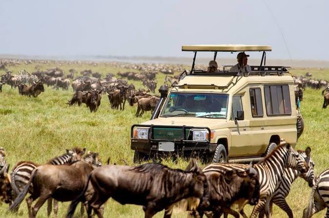 Serengeti game drives
