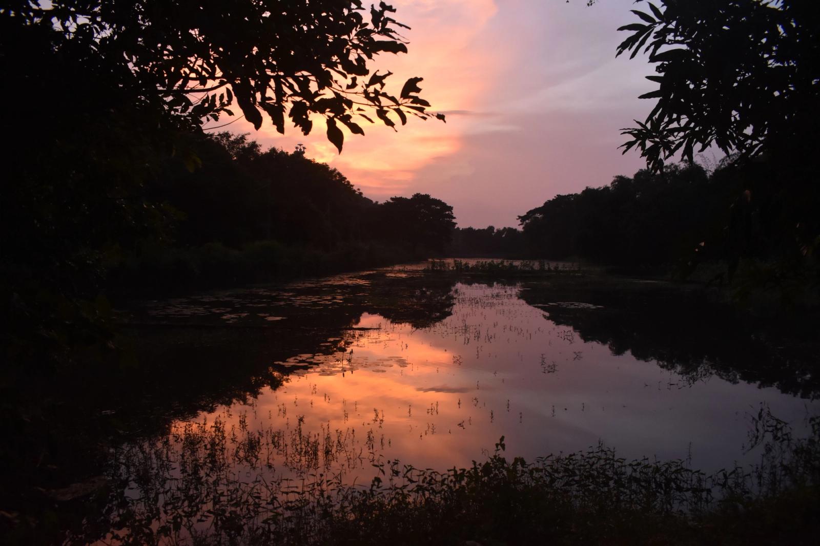 Beautiful sunset reflecting on the river in Dhauli, Odisha, India