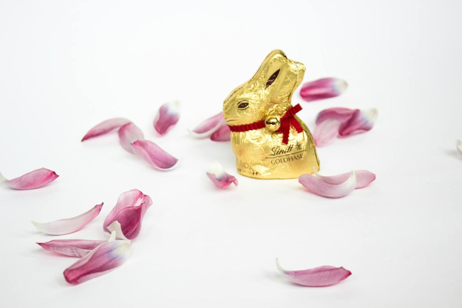 Visit To Lindt Chocolate Factory on day 2, Switzerland + France