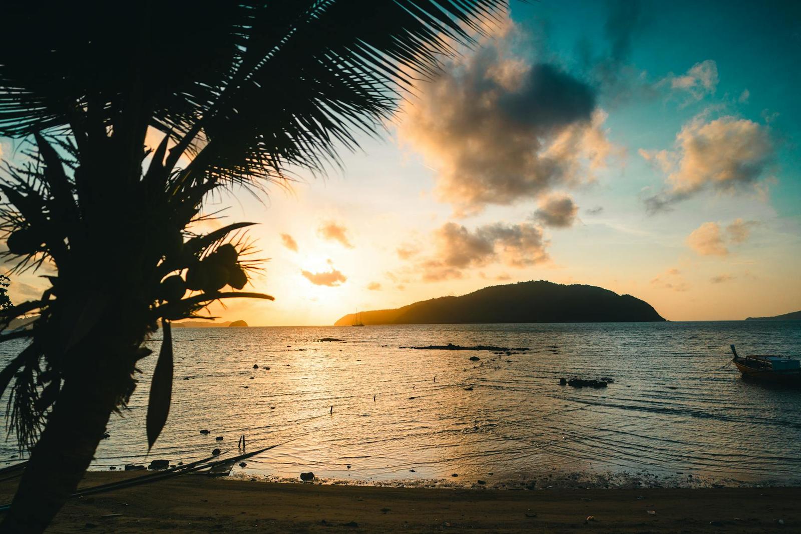 A palm tree silhouetted against a glowing sunset over a calm bay with a longtail boat