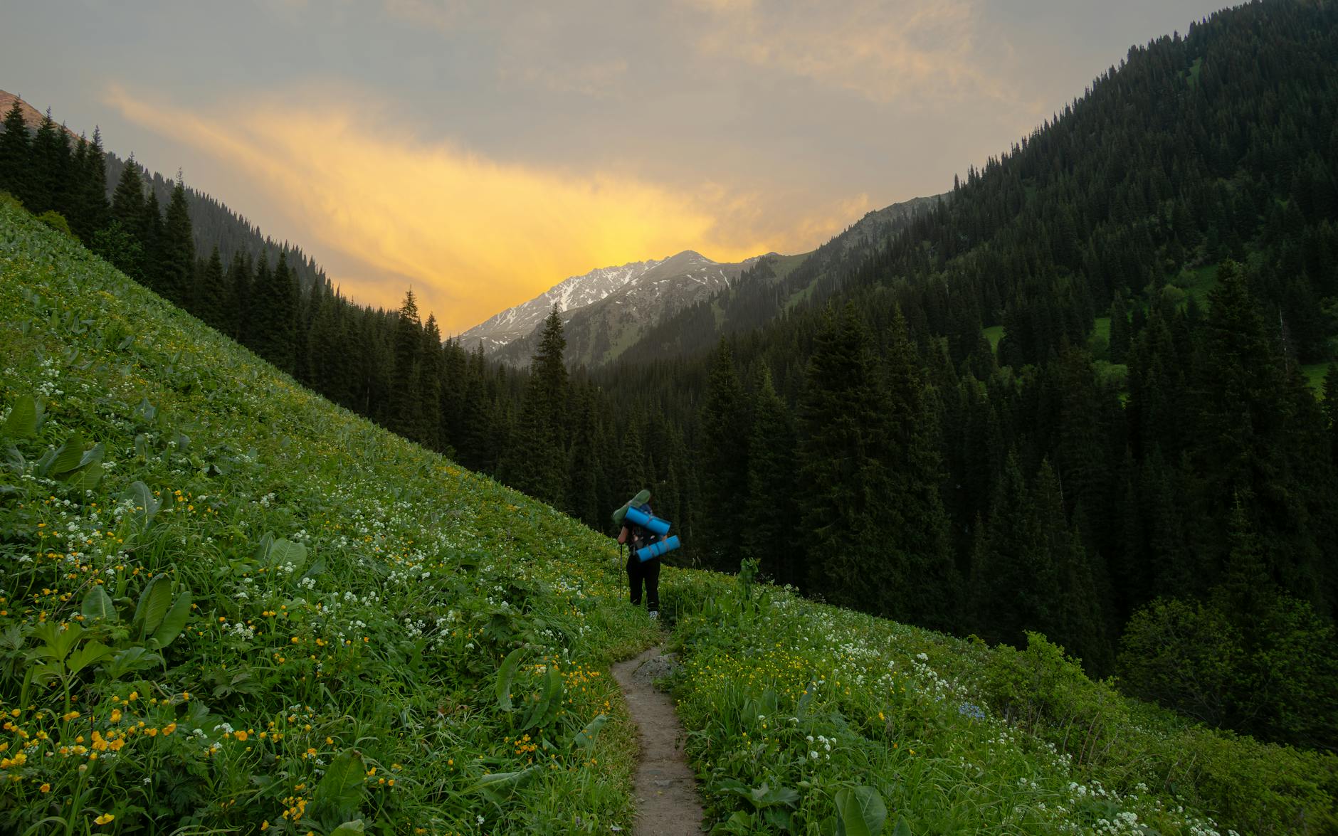 Amazing Almaty: City + Mountains