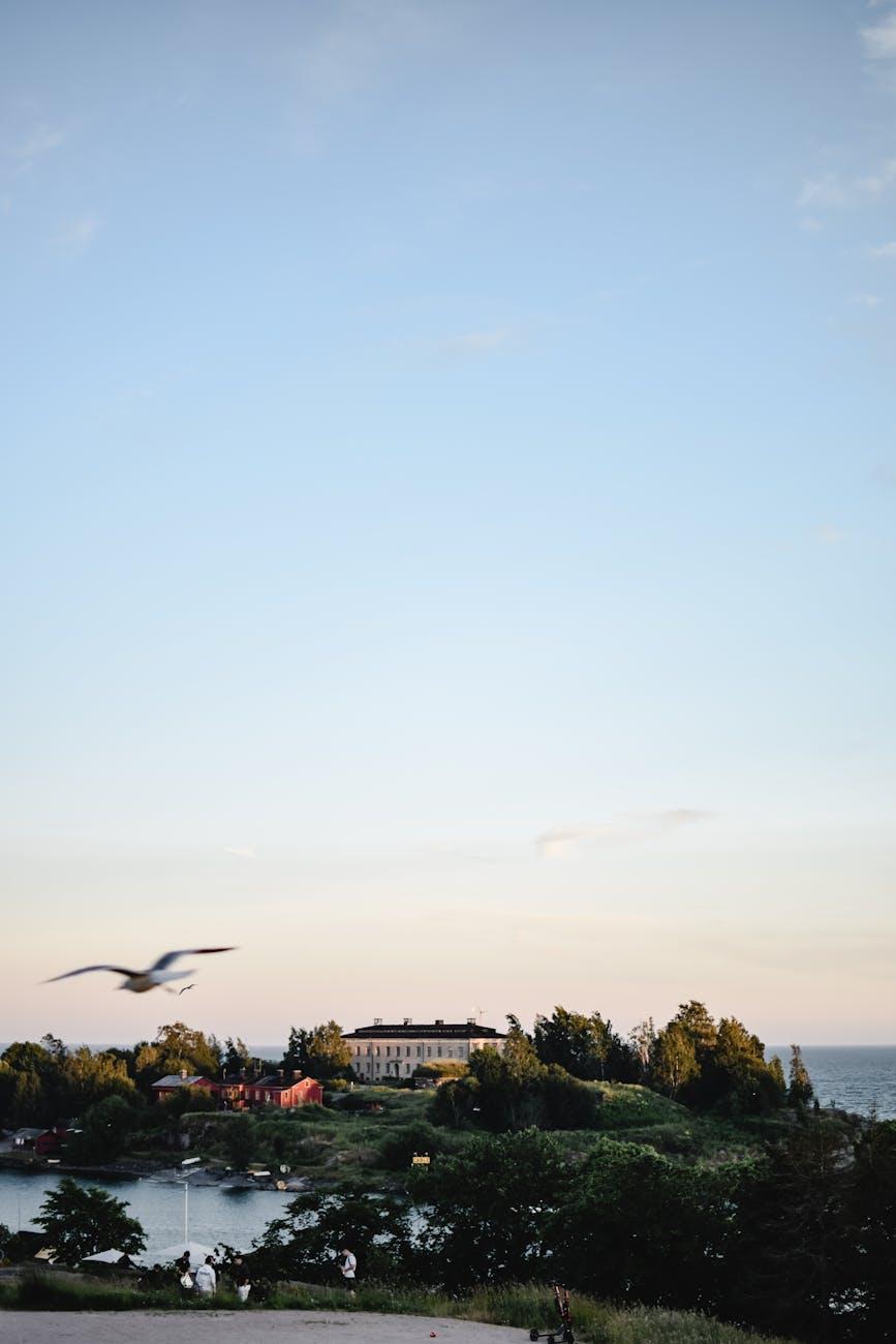 Seagull flying above a coastal manor house at dusk