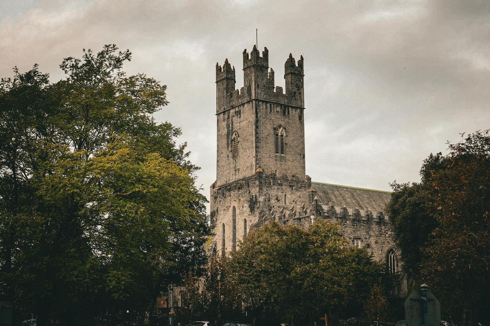 Historic St. Mary's Cathedral in Limerick, Ireland, surrounded by lush trees on a cloudy day