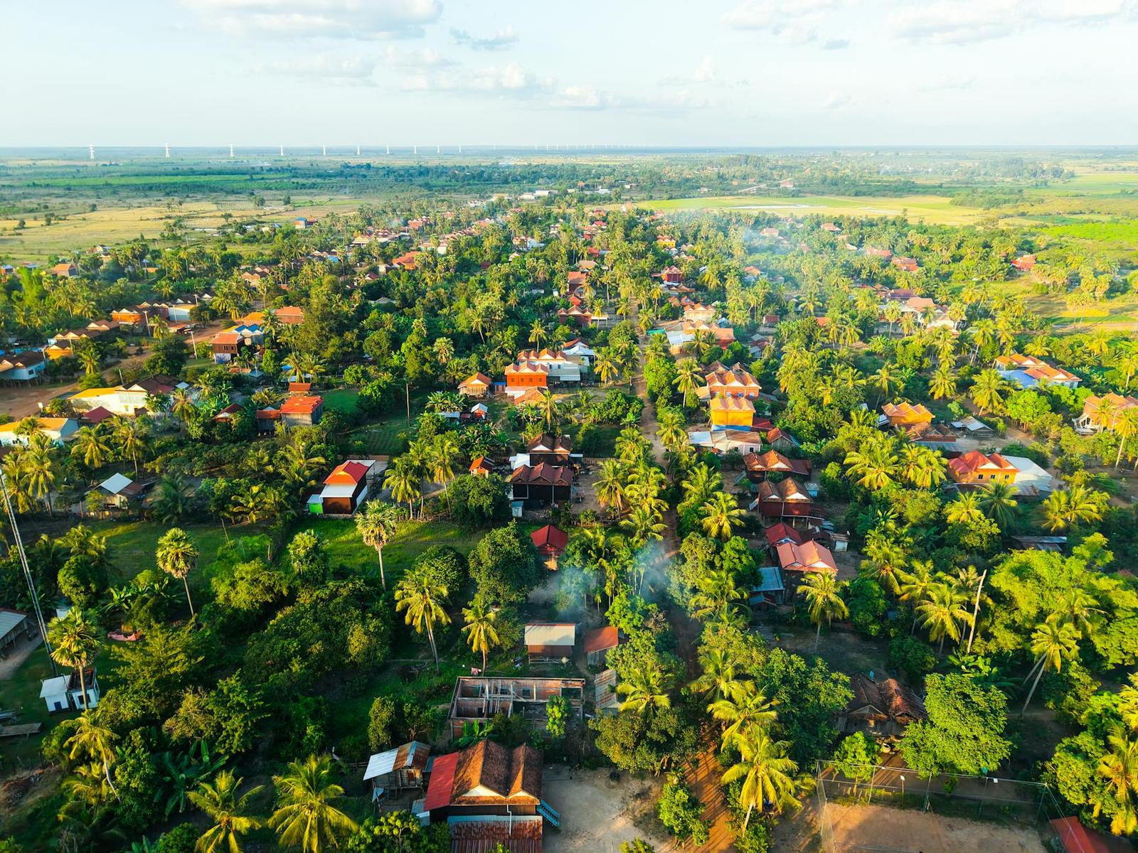 Aerial view of a palm-shaded village with red-roofed houses along open farmland