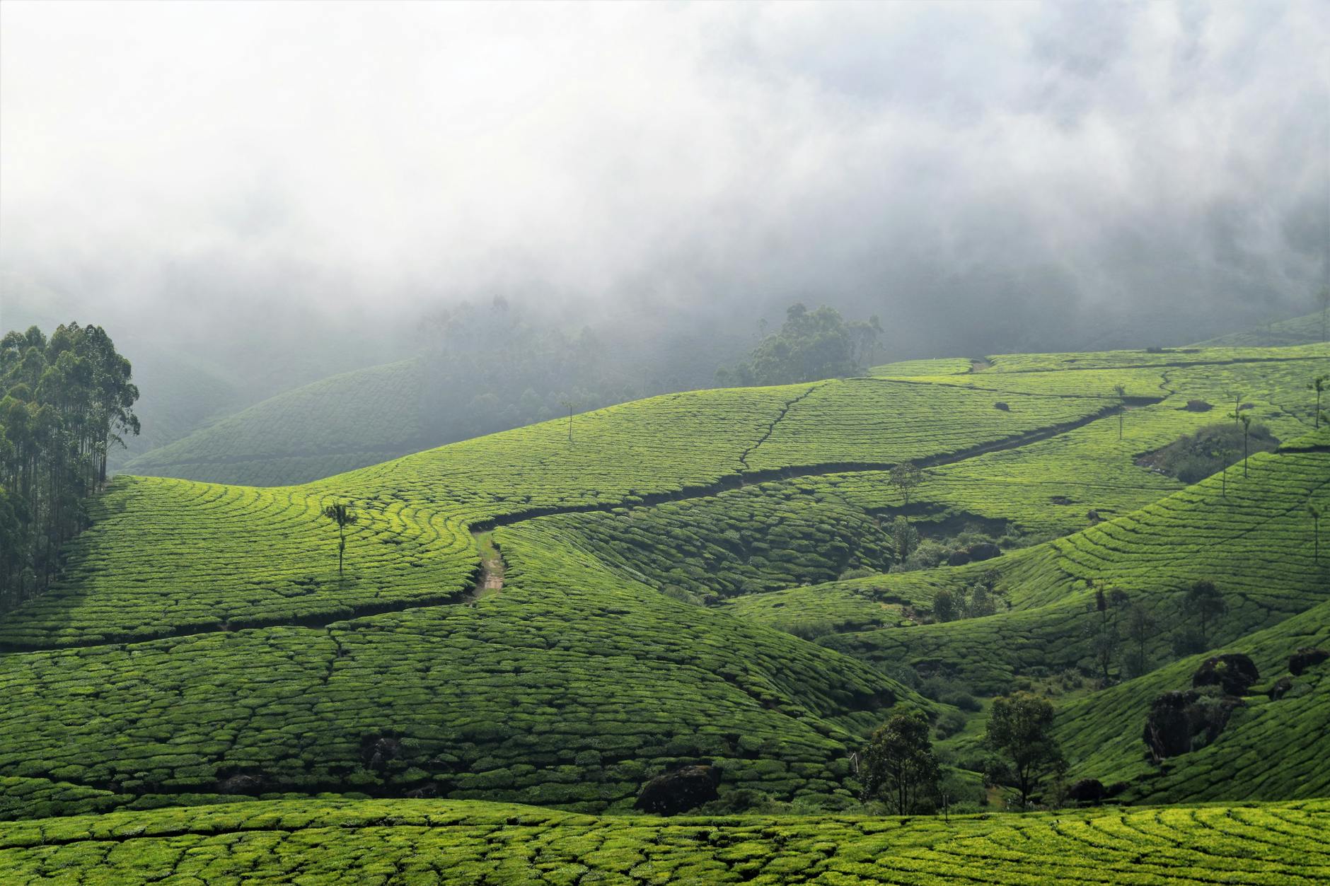 Munnar — Munnar, India