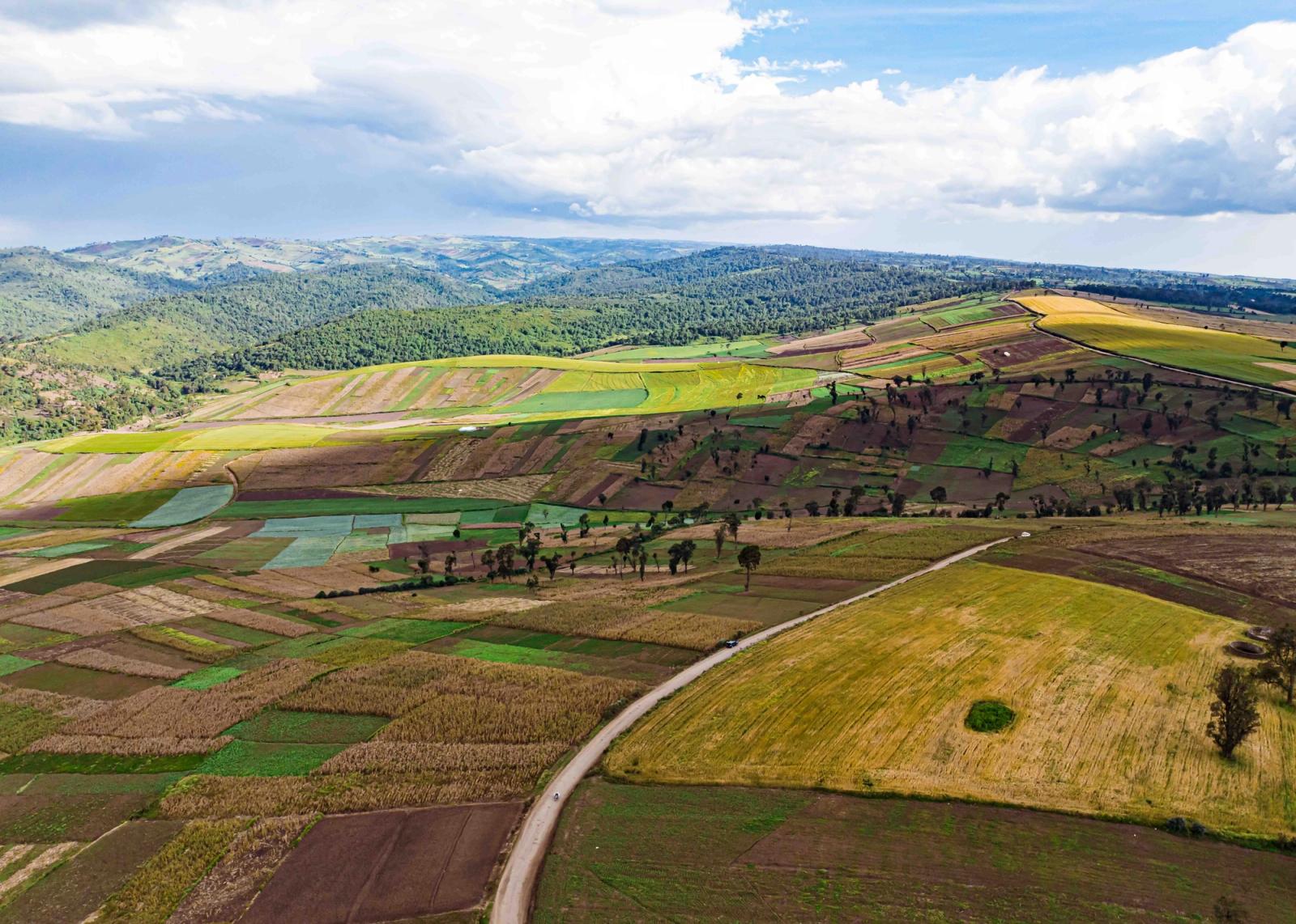 Colorful aerial panorama of vibrant patchwork farmlands in Mau Narok, highlighting the rich agricultural landscape