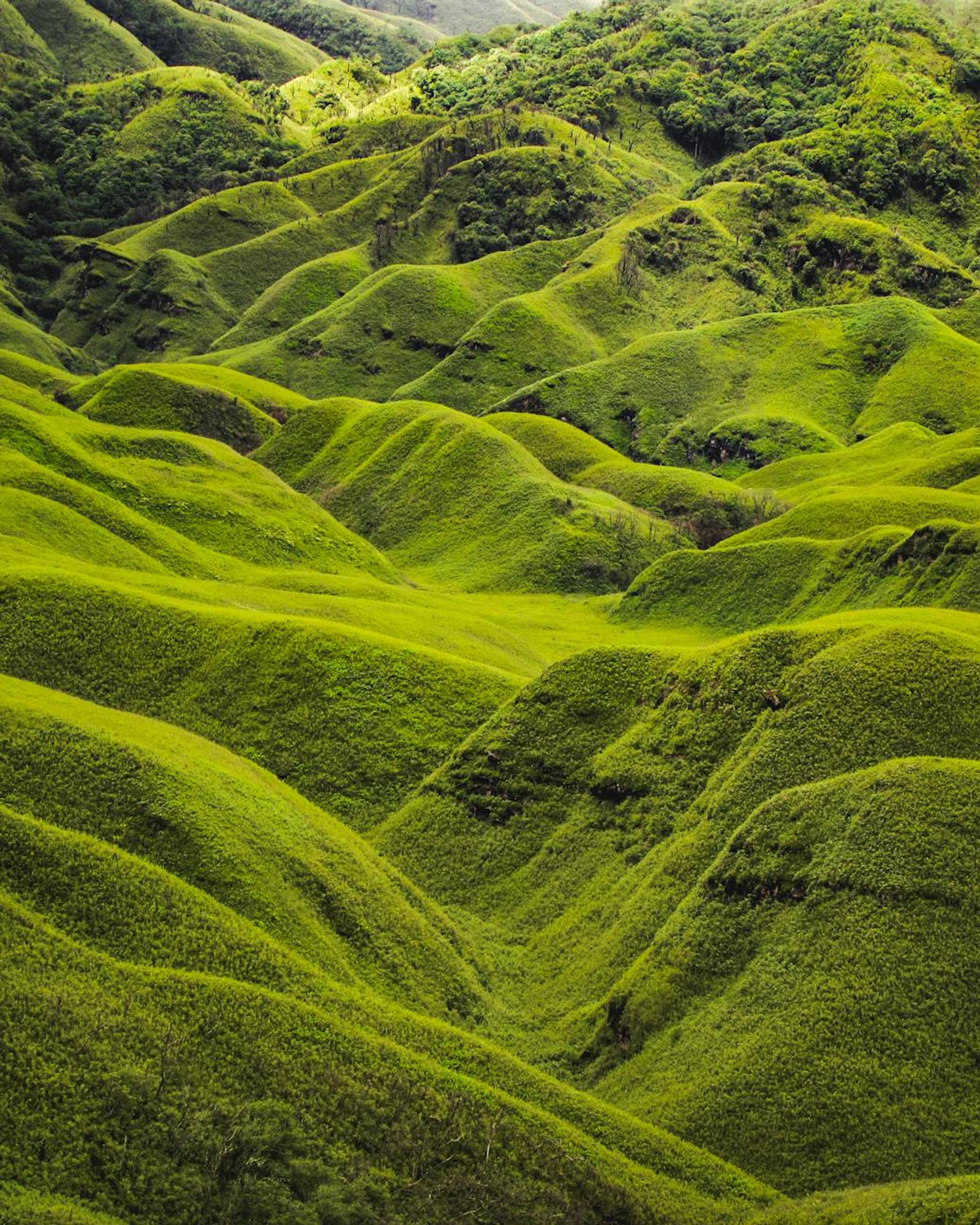 Capture the serene beauty of lush hills in Viswema, Nagaland