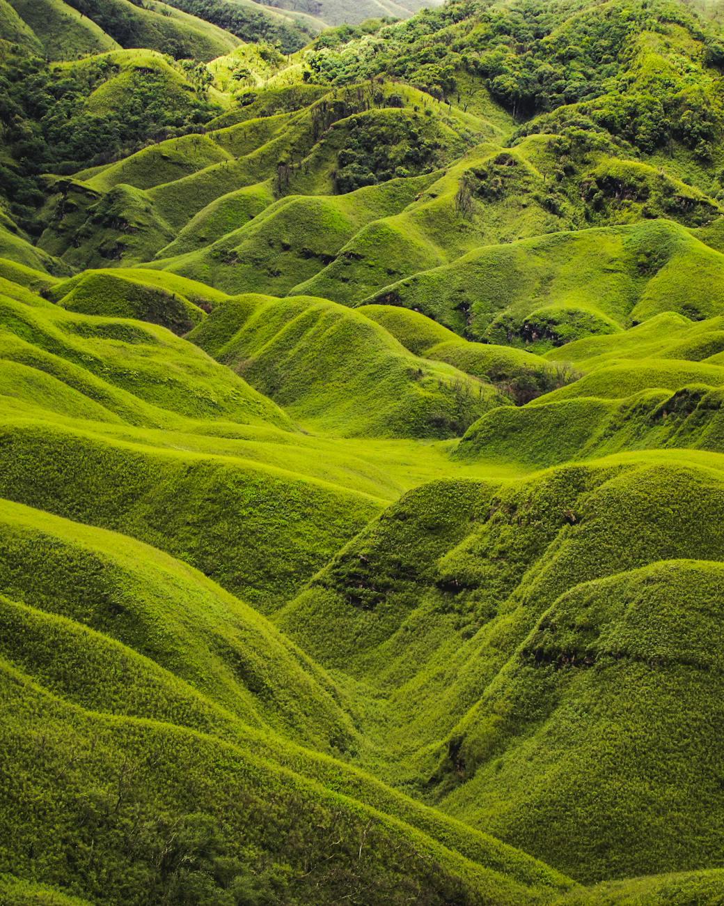 Capture the serene beauty of lush hills in Viswema, Nagaland
