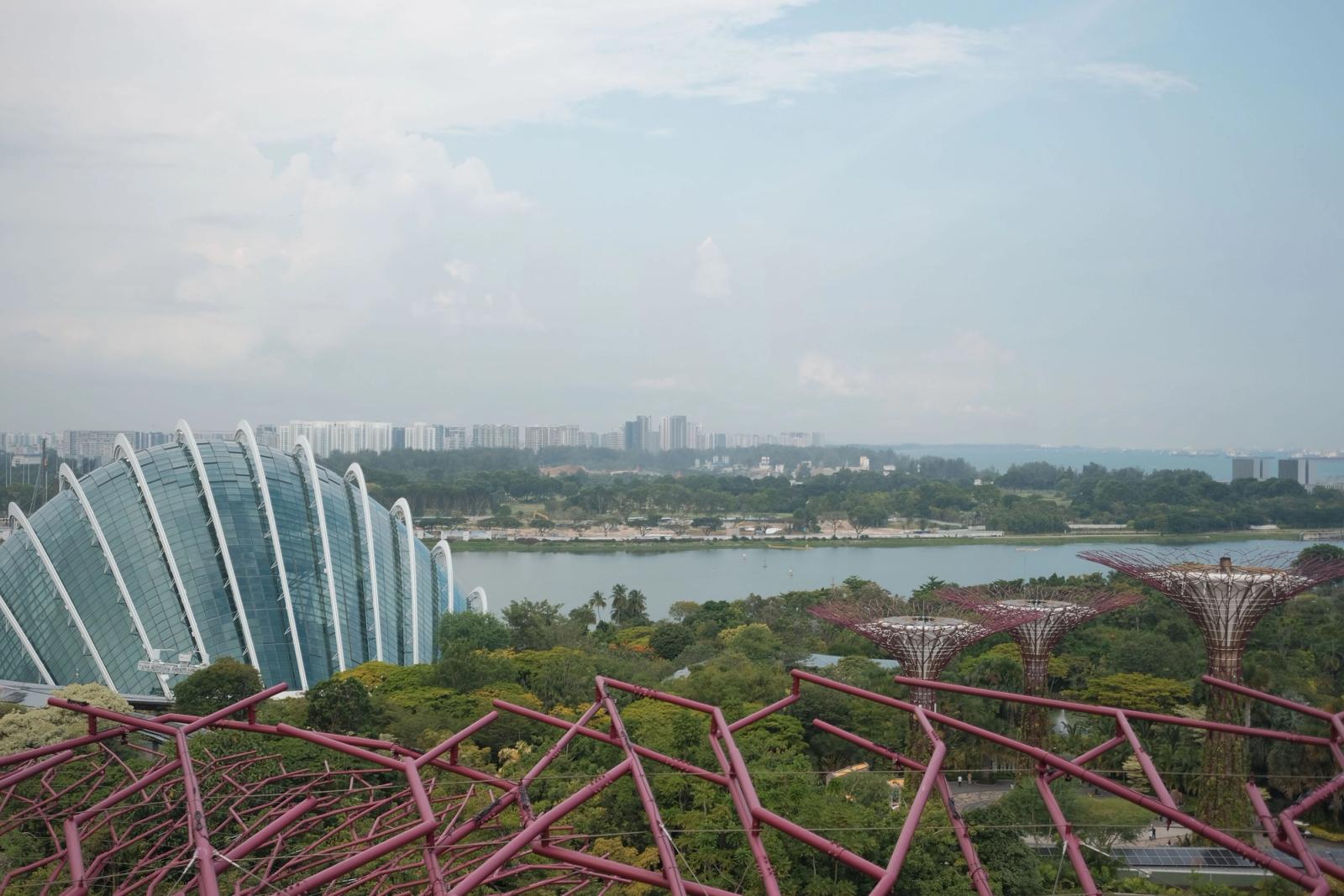 Panoramic view of Gardens by the Bay and Marina Bay in Singapore, featuring iconic architecture