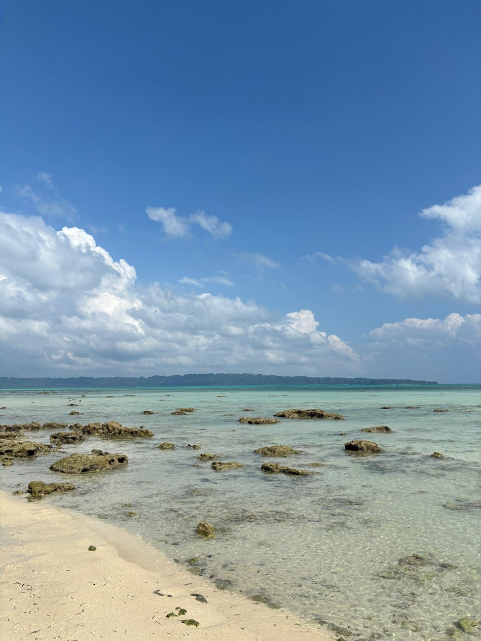 Havelock Excursion Elephant Beach — Andamans, India
