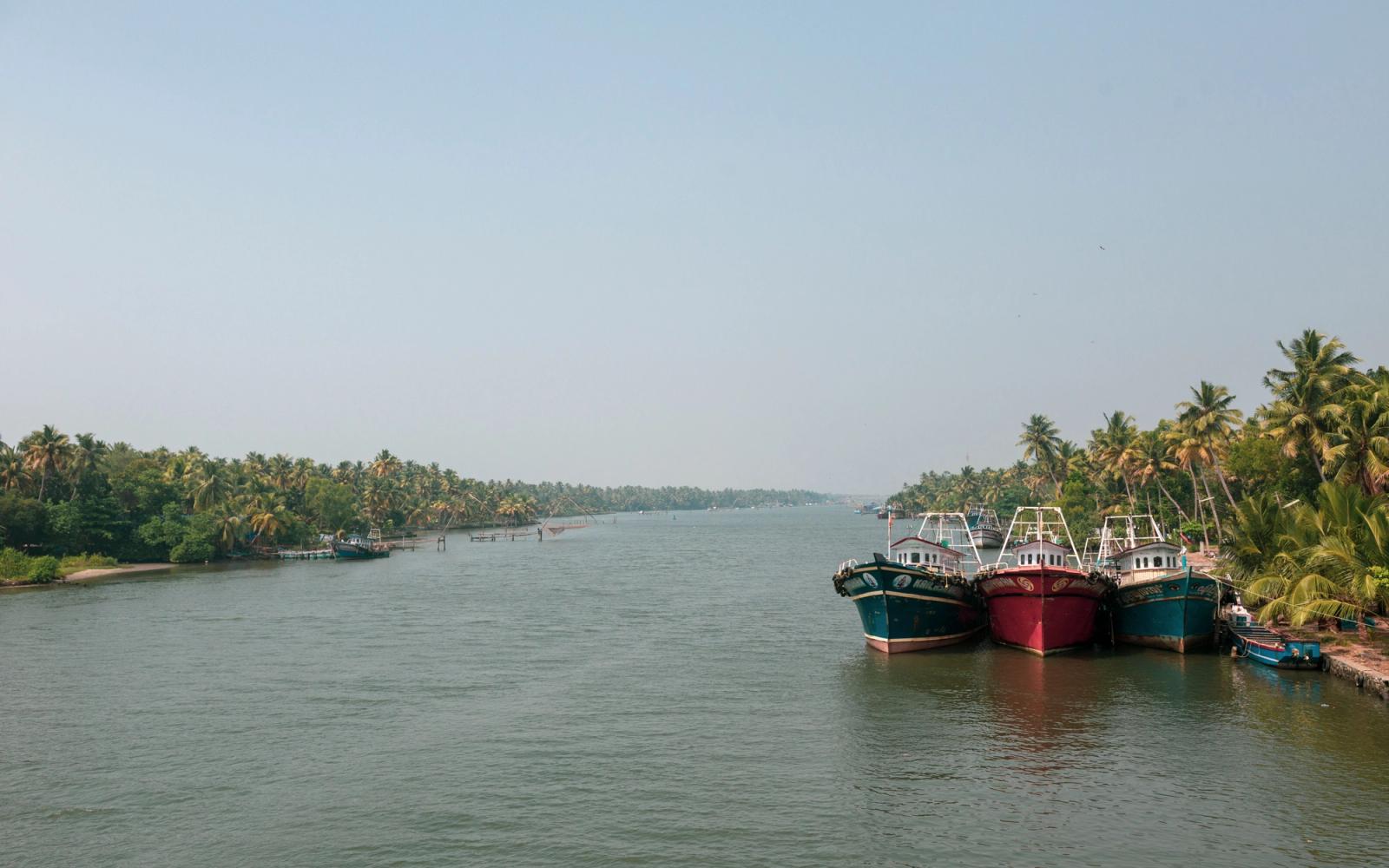 Fishing boats docked along the lush, tropical backwaters of Kerala, India