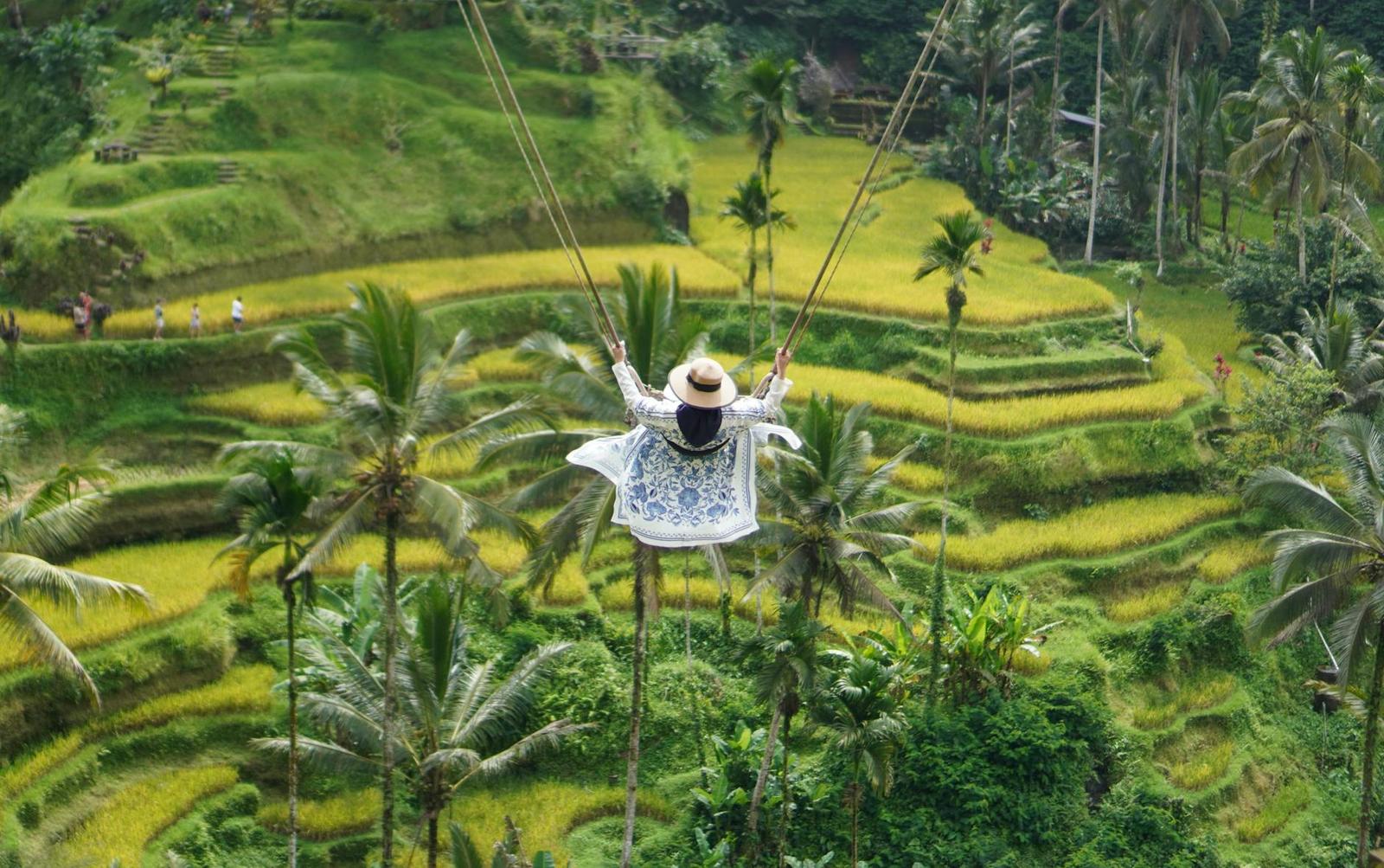 21st December :Saturday : Full Day Bali Swing + Ubud Money Forest on day 5, Indonesia