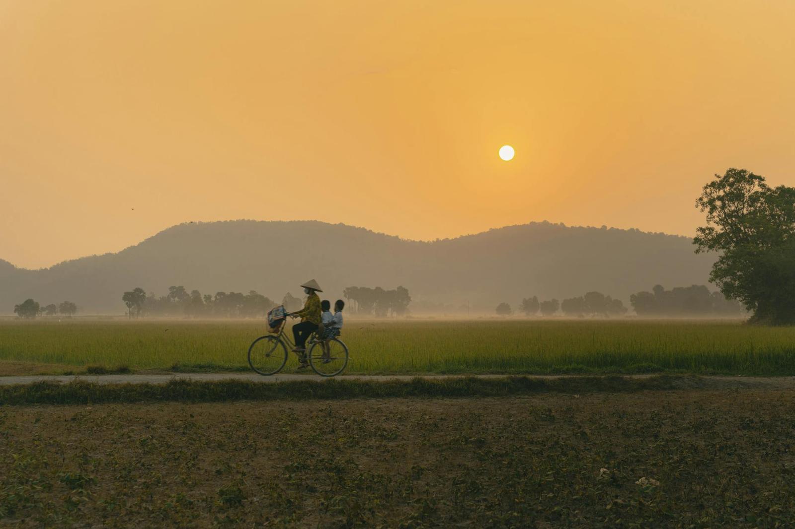 Cyclist riding along a country road past rice fields at hazy sunset