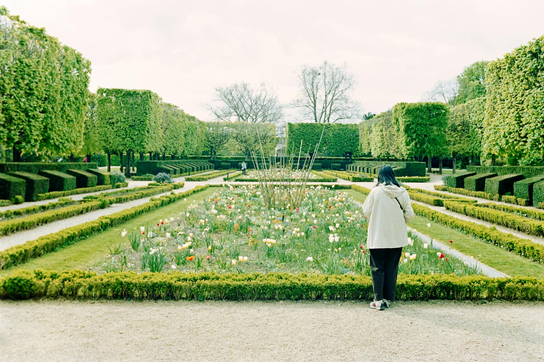 Botanical Garden, France