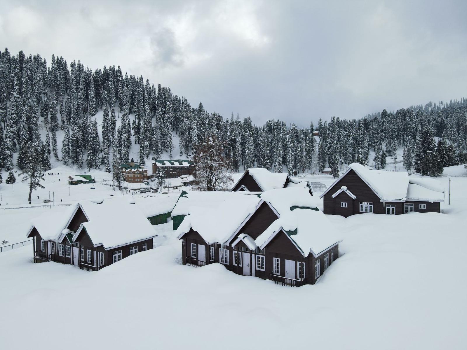 Snow-buried chalet cottages standing among tall pines on a grey winter day