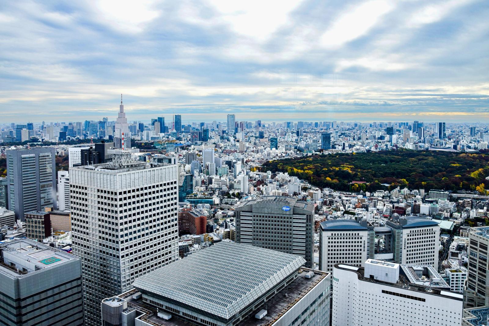 A panoramic view of Tokyo's skyline with high-rise buildings and lush green parkland