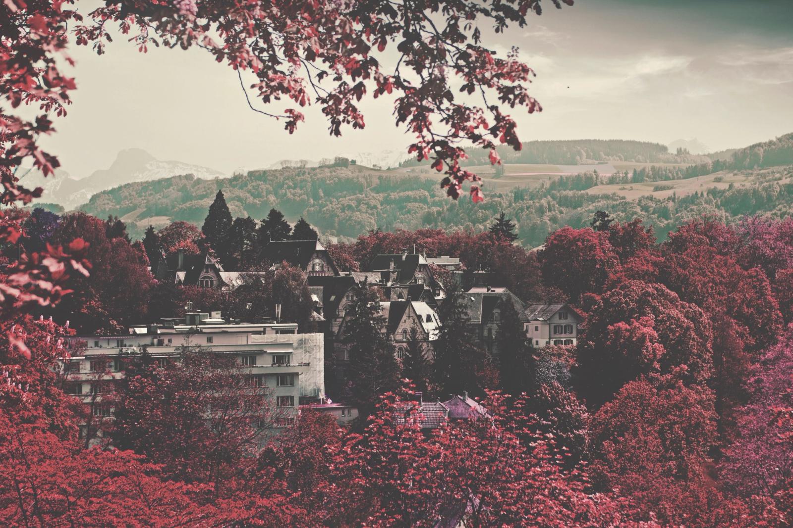 Charming autumn view of Bern, Switzerland, with vivid foliage and picturesque houses