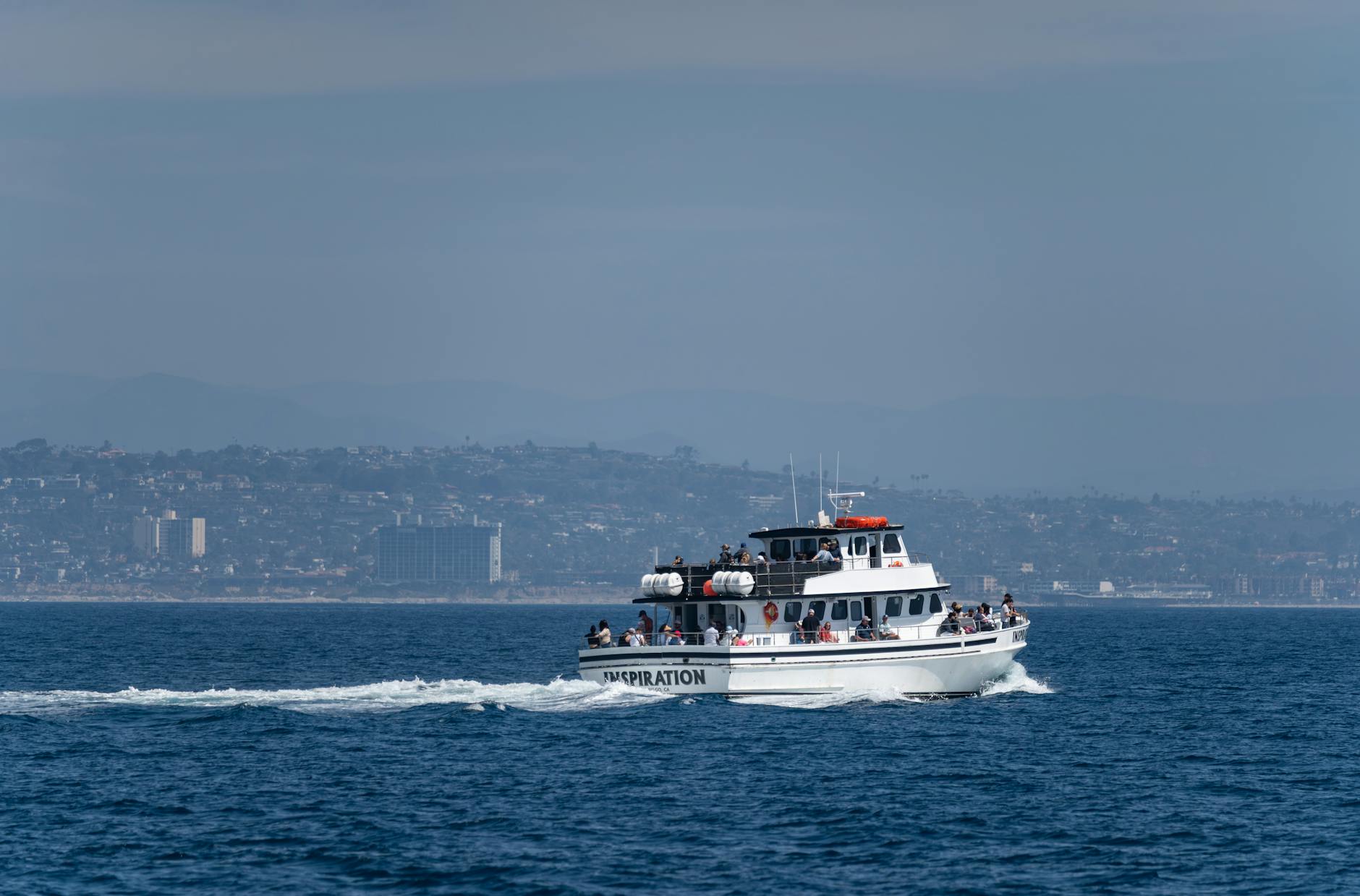 San Diego Whale Watching — USA
