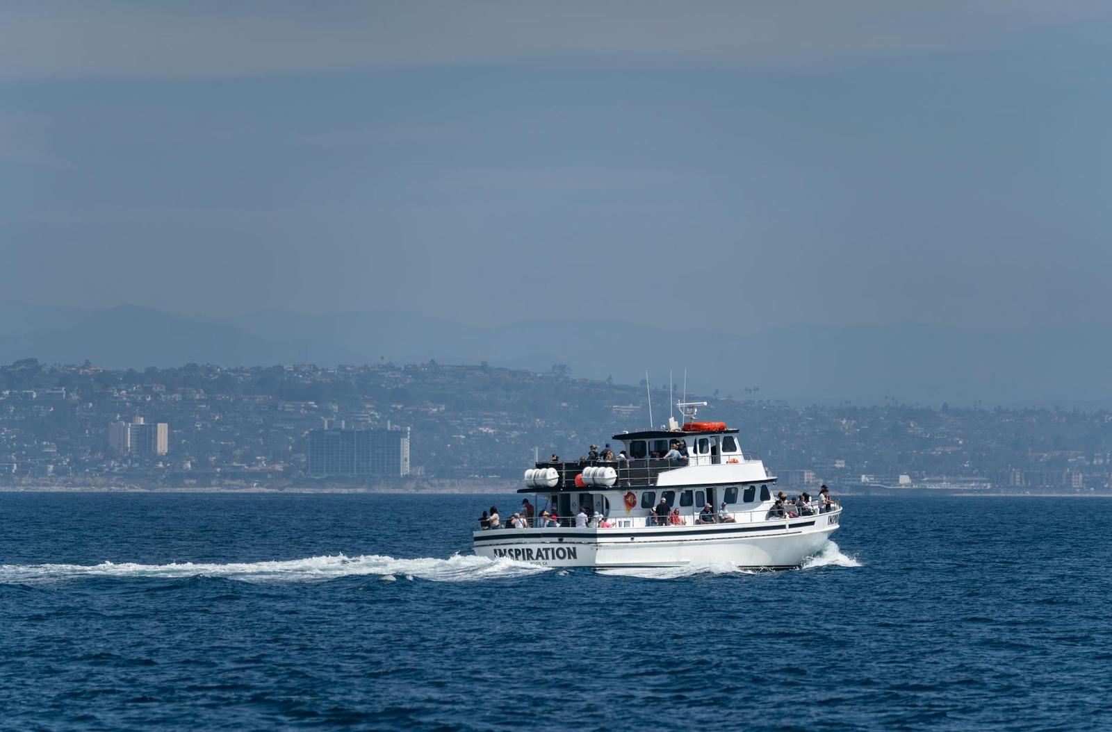 San Diego Whale Watching — USA