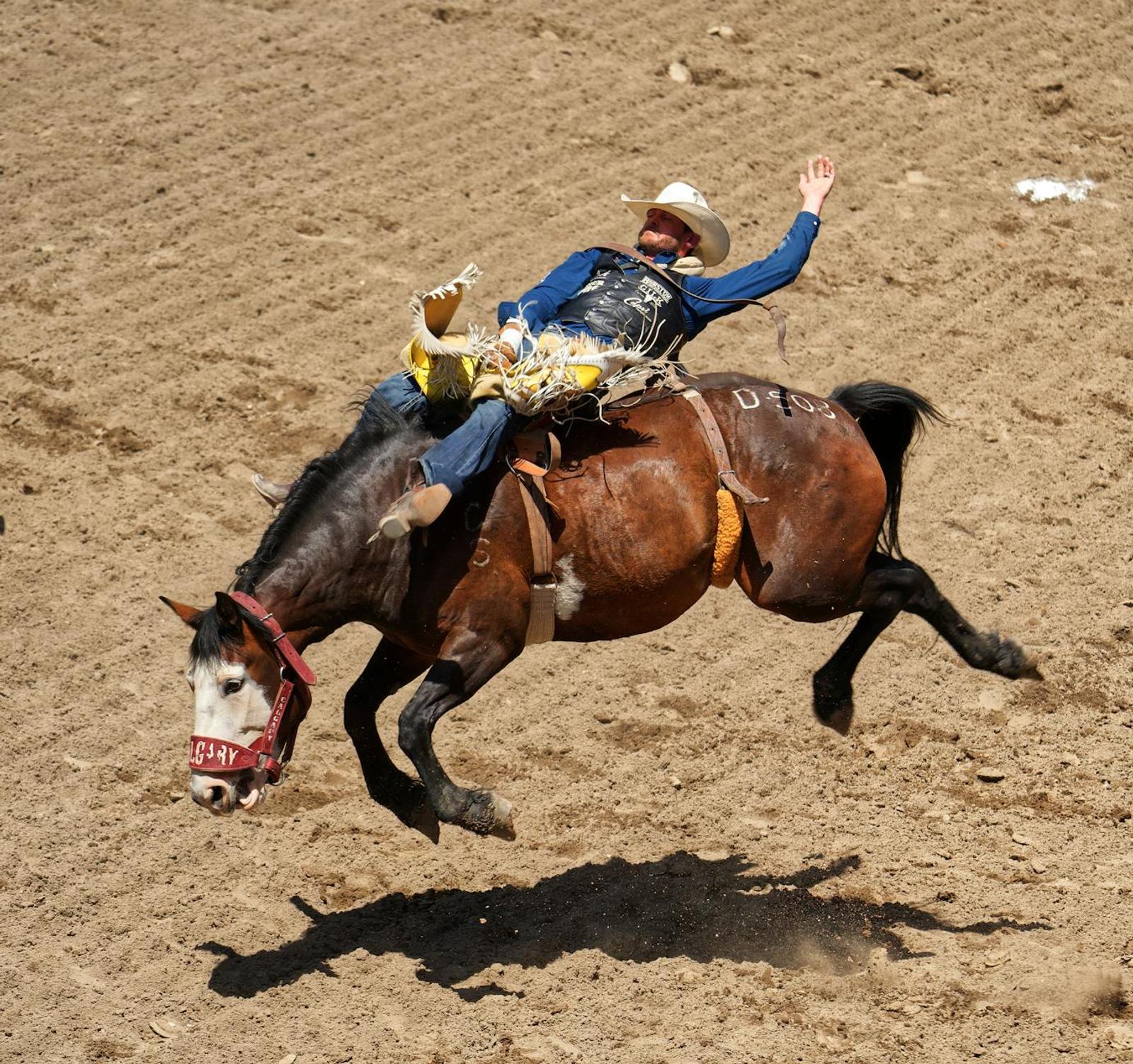 Calgary Stampede — Canada
