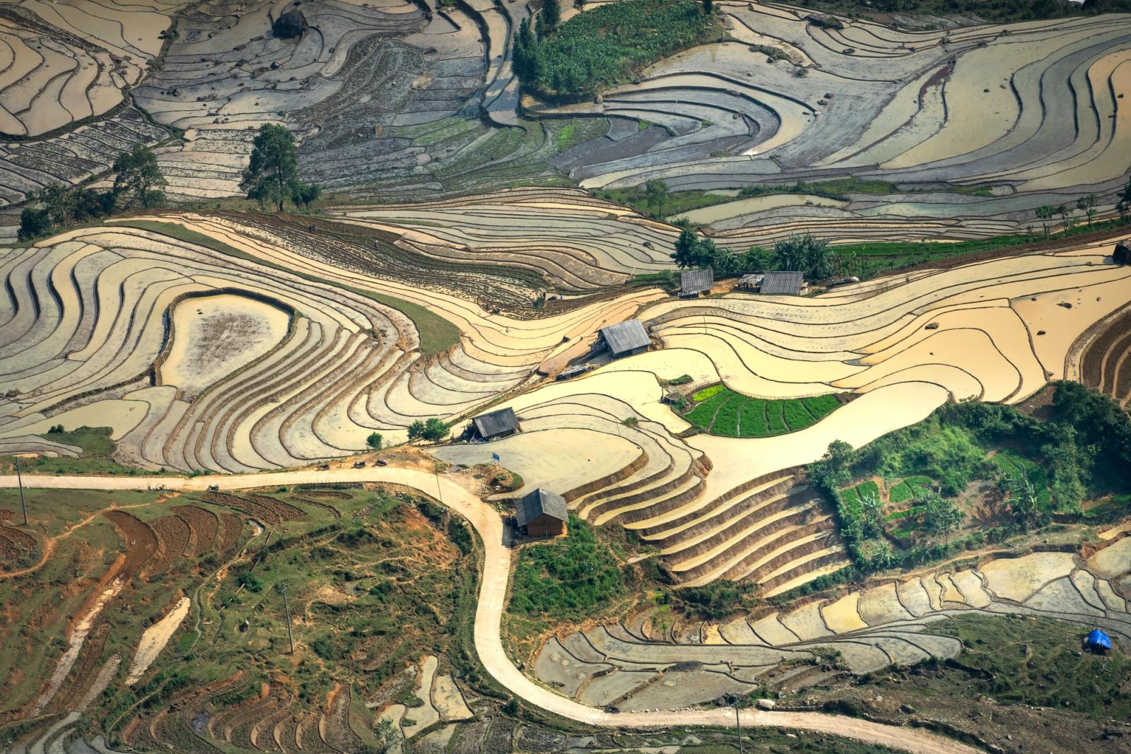 Stunning aerial photo of terraced rice fields in Vietnam during the day