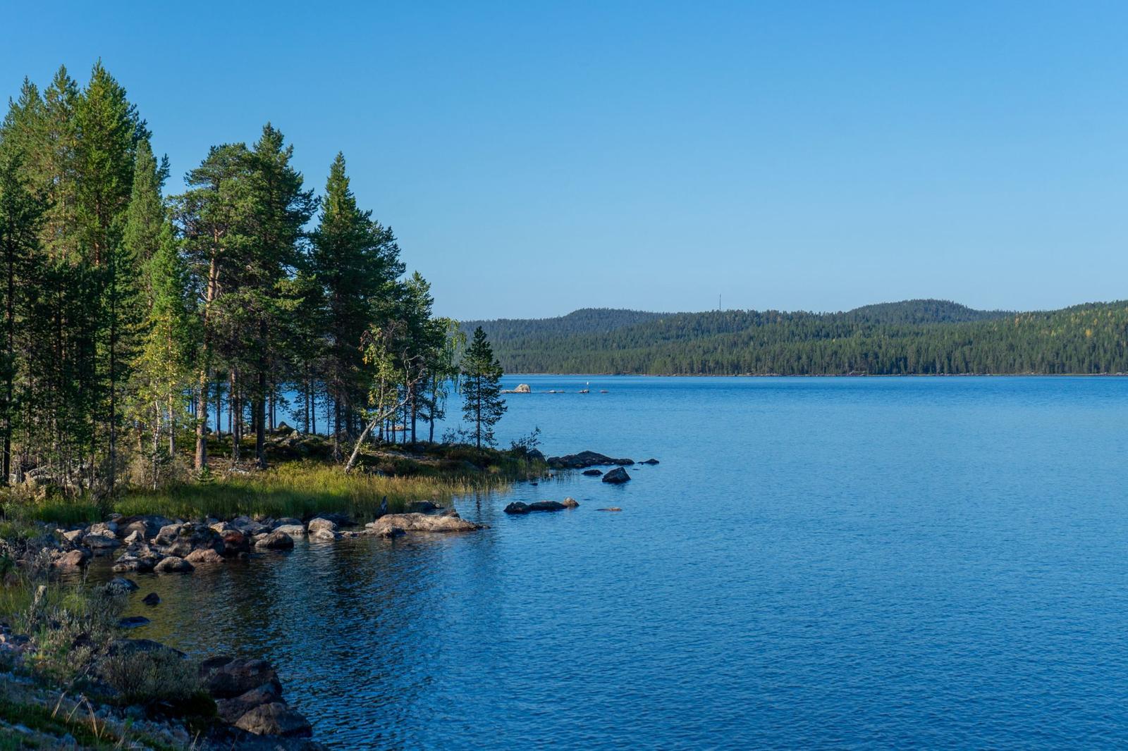 Pine-fringed rocky shoreline beside a calm blue lake