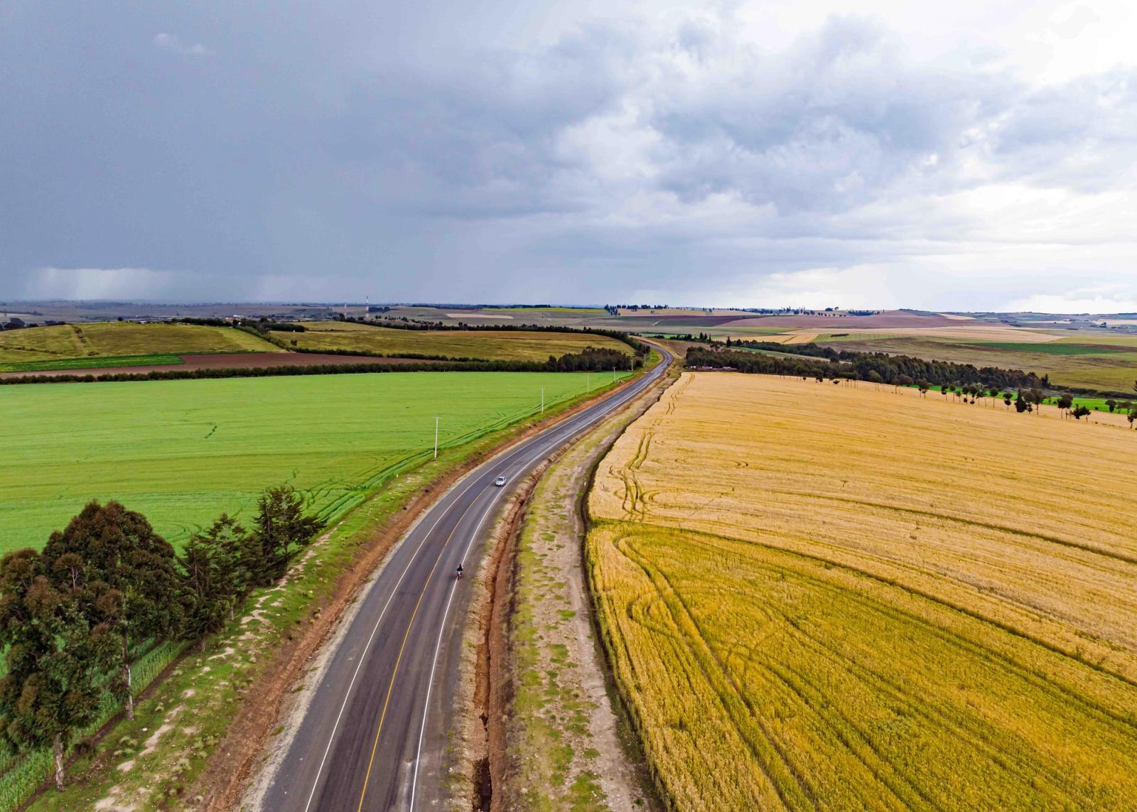 Aerial view of a road cutting through lush fields in Mau Narok, Nakuru County, Kenya