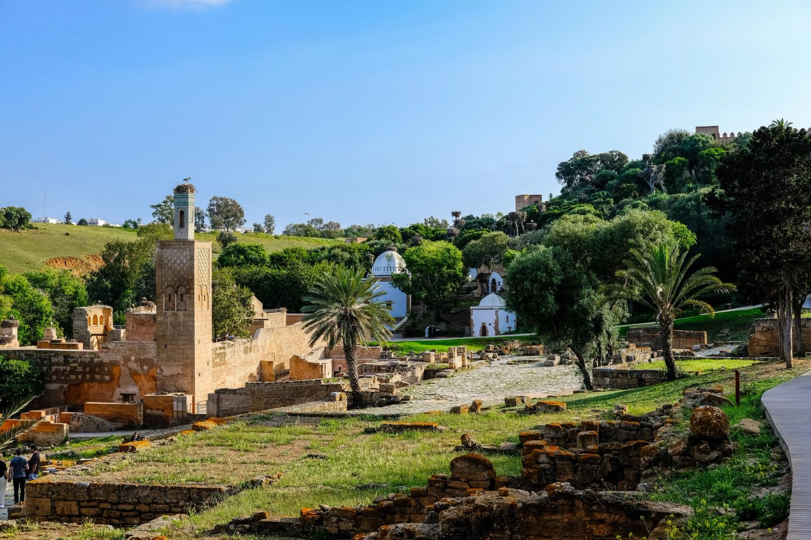 Explore the scenic ruins of Rabat, Morocco, amidst lush greenery and historic architecture