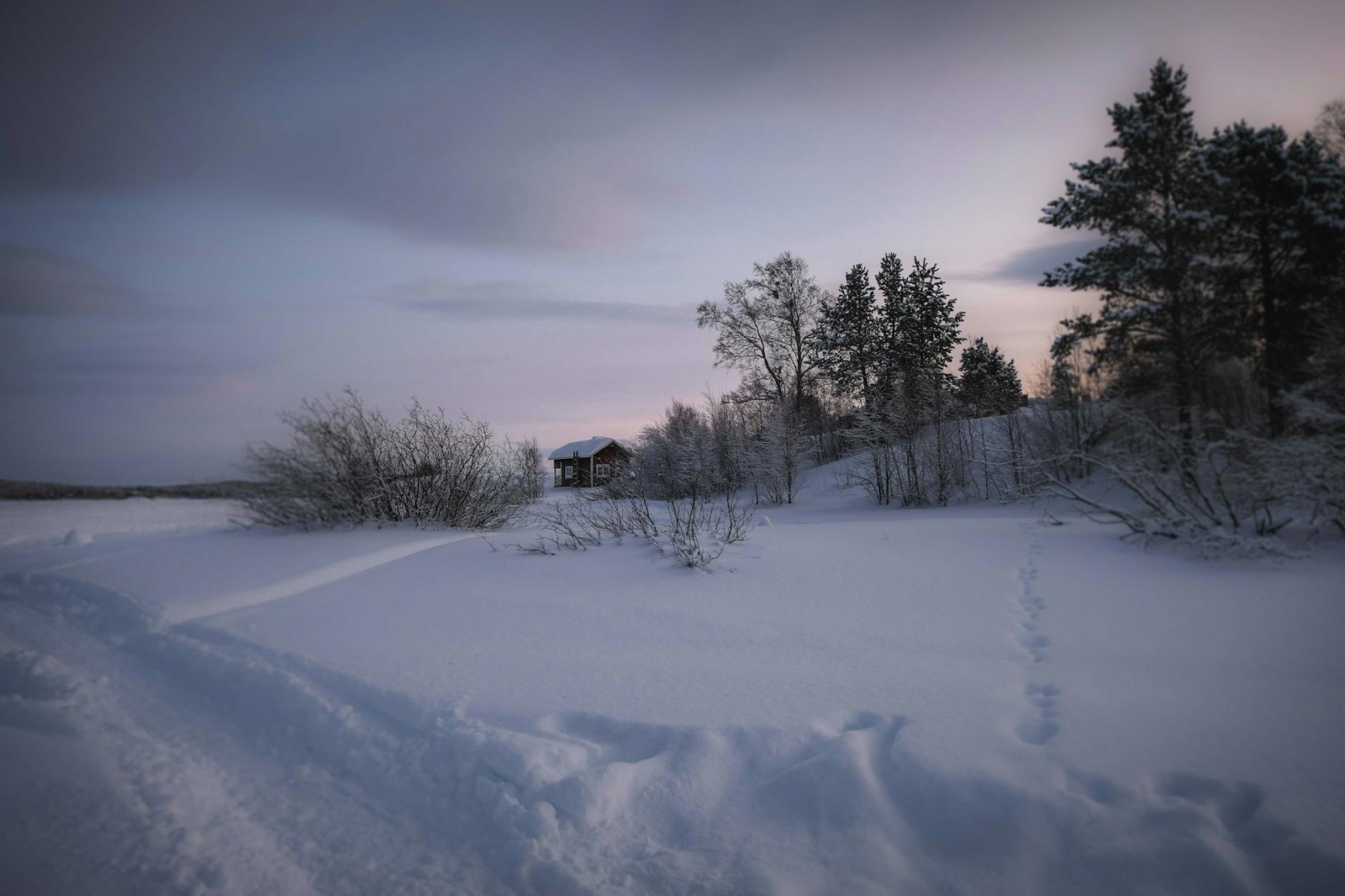 A snow-covered field with footprints leading toward a small lit cabin among trees