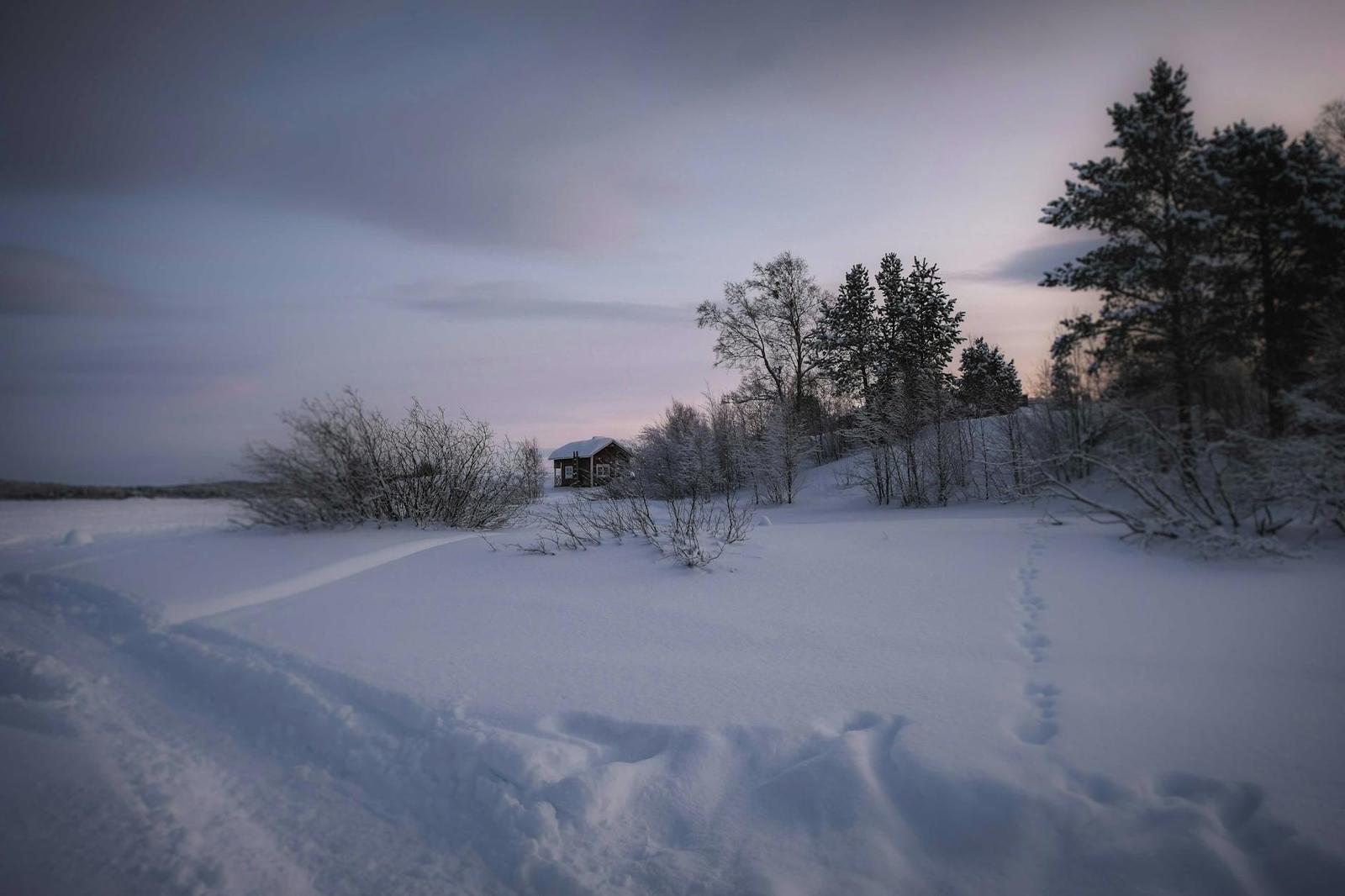 A snow-covered field with footprints leading toward a small lit cabin among trees