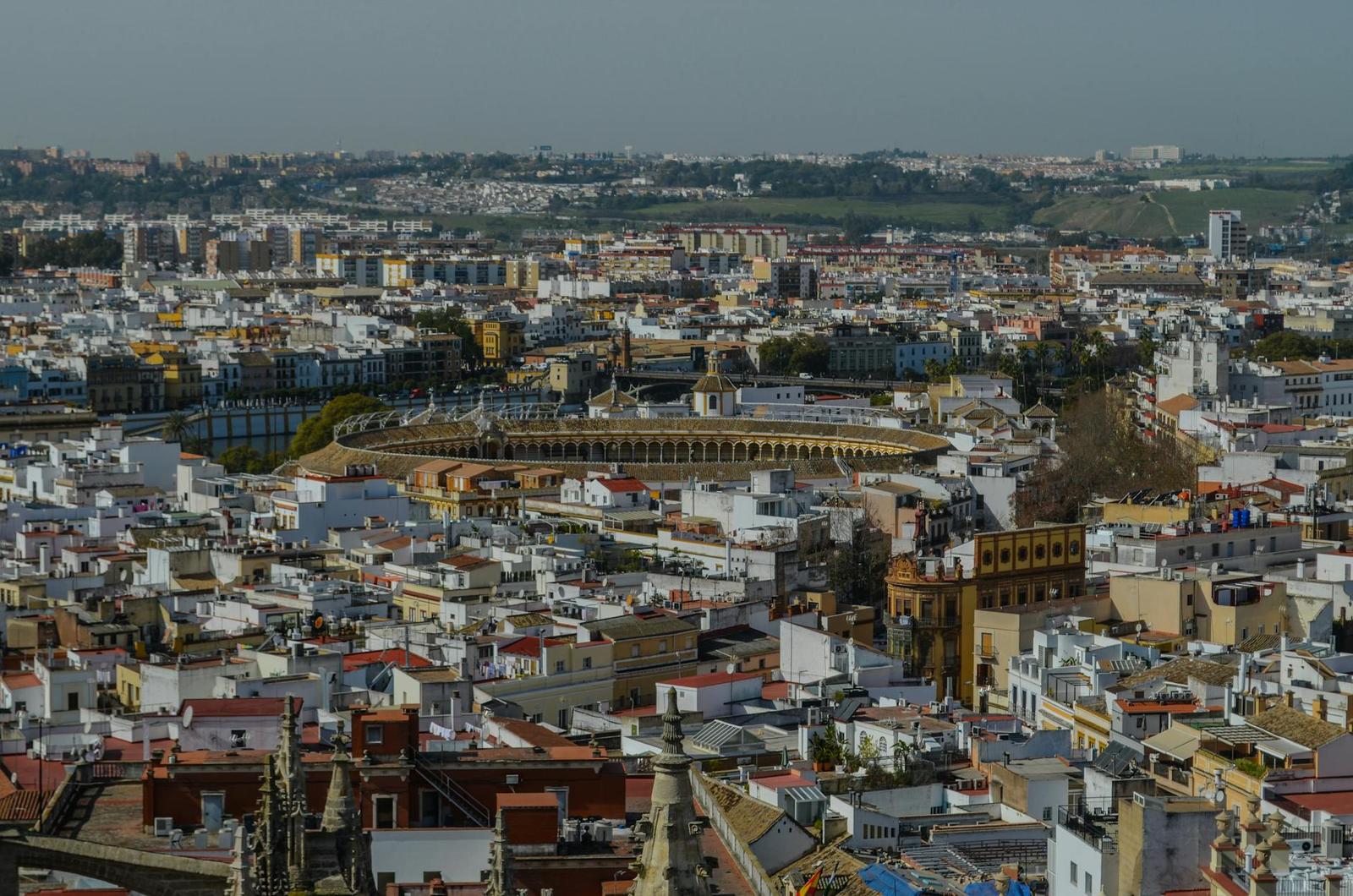 Aerial view of a historic city with a circular arena among terracotta rooftops
