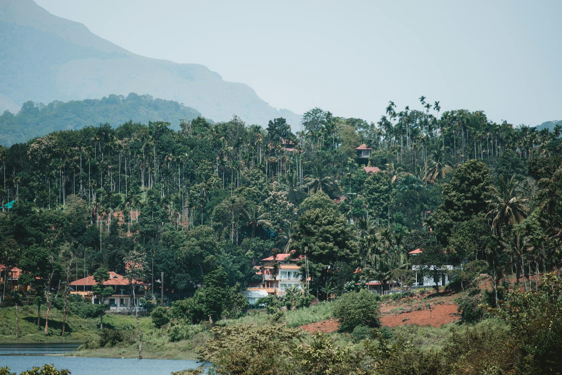 Thekkady on day 4, India