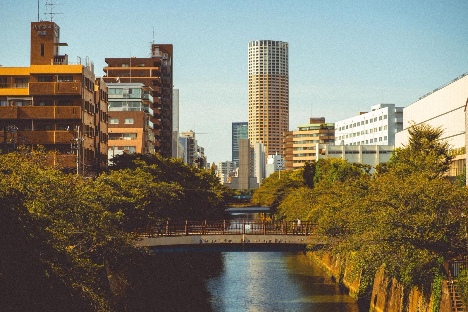 Explore the beauty of Tokyo's Meguro River framed by urban architecture and lush greenery in summer