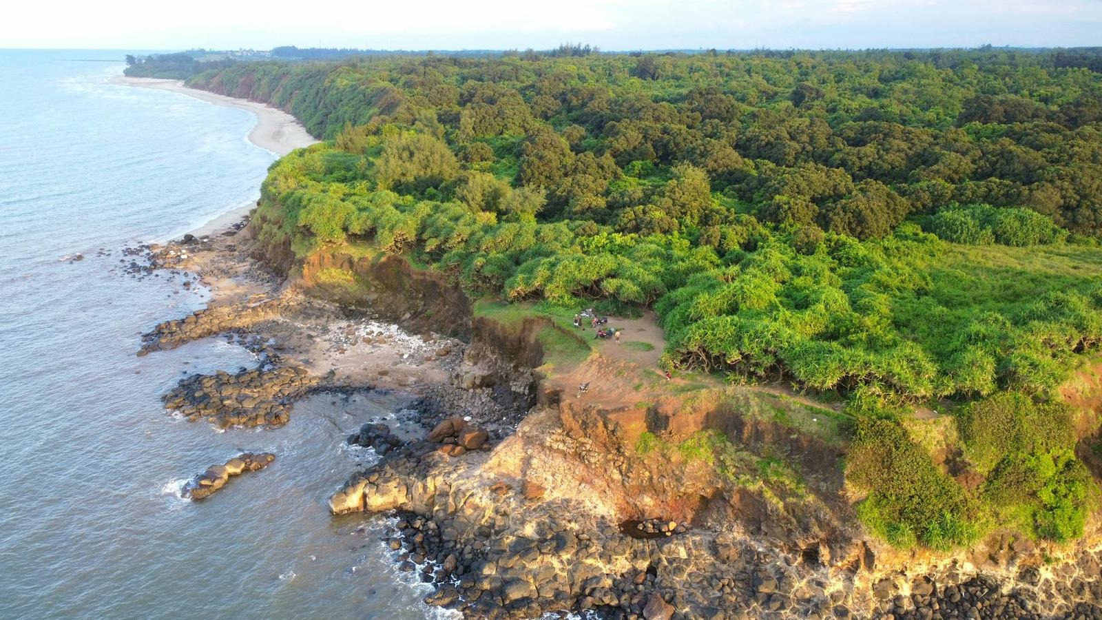 Aerial view of a forested coastline meeting rocky shallows