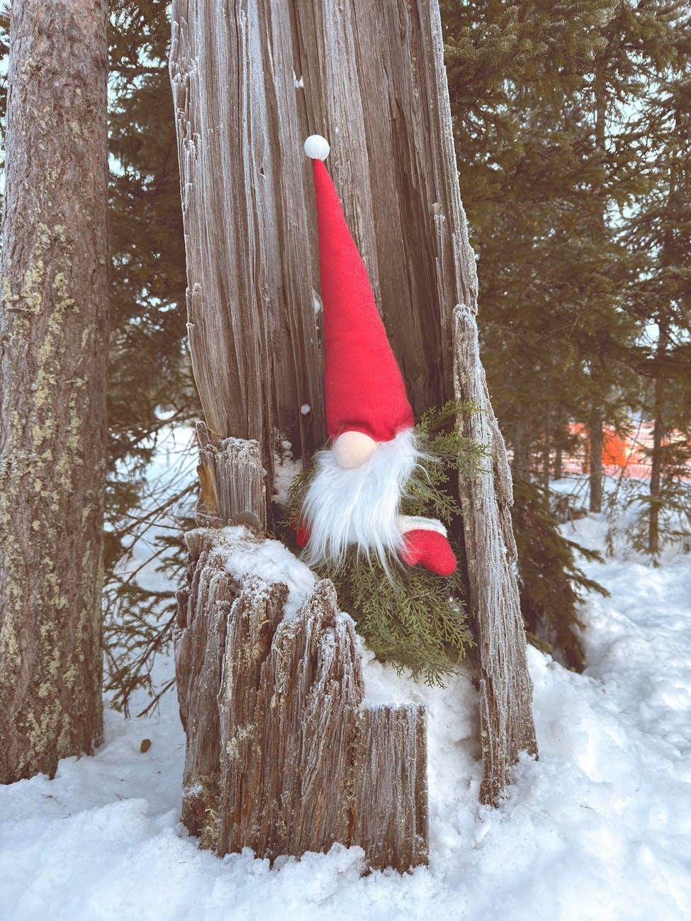 Santa Claus Secret Forest — Finland