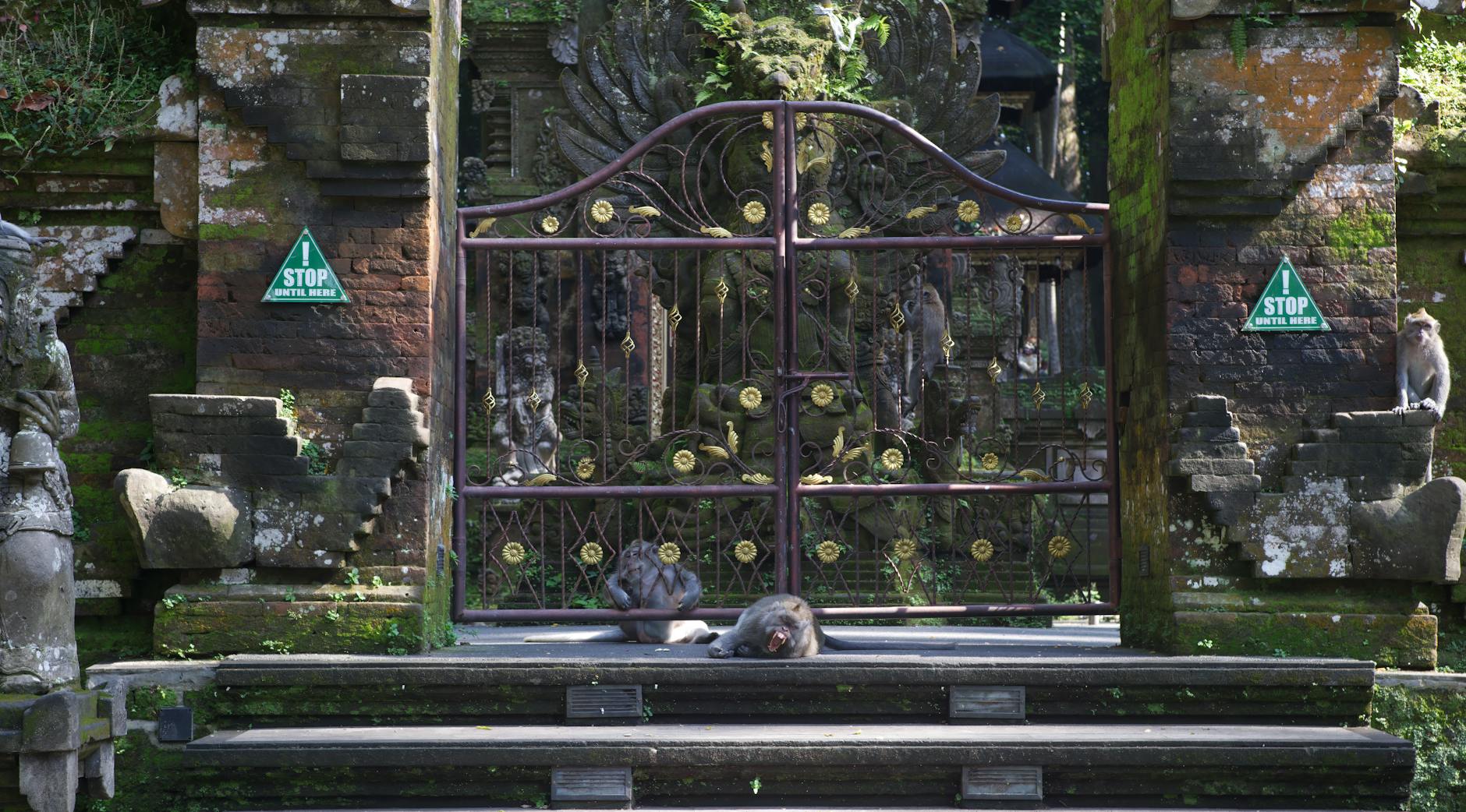 Ubud Village + Ubud Monkey Forest + Tanah Lot Temple | on day 3, Indonesia