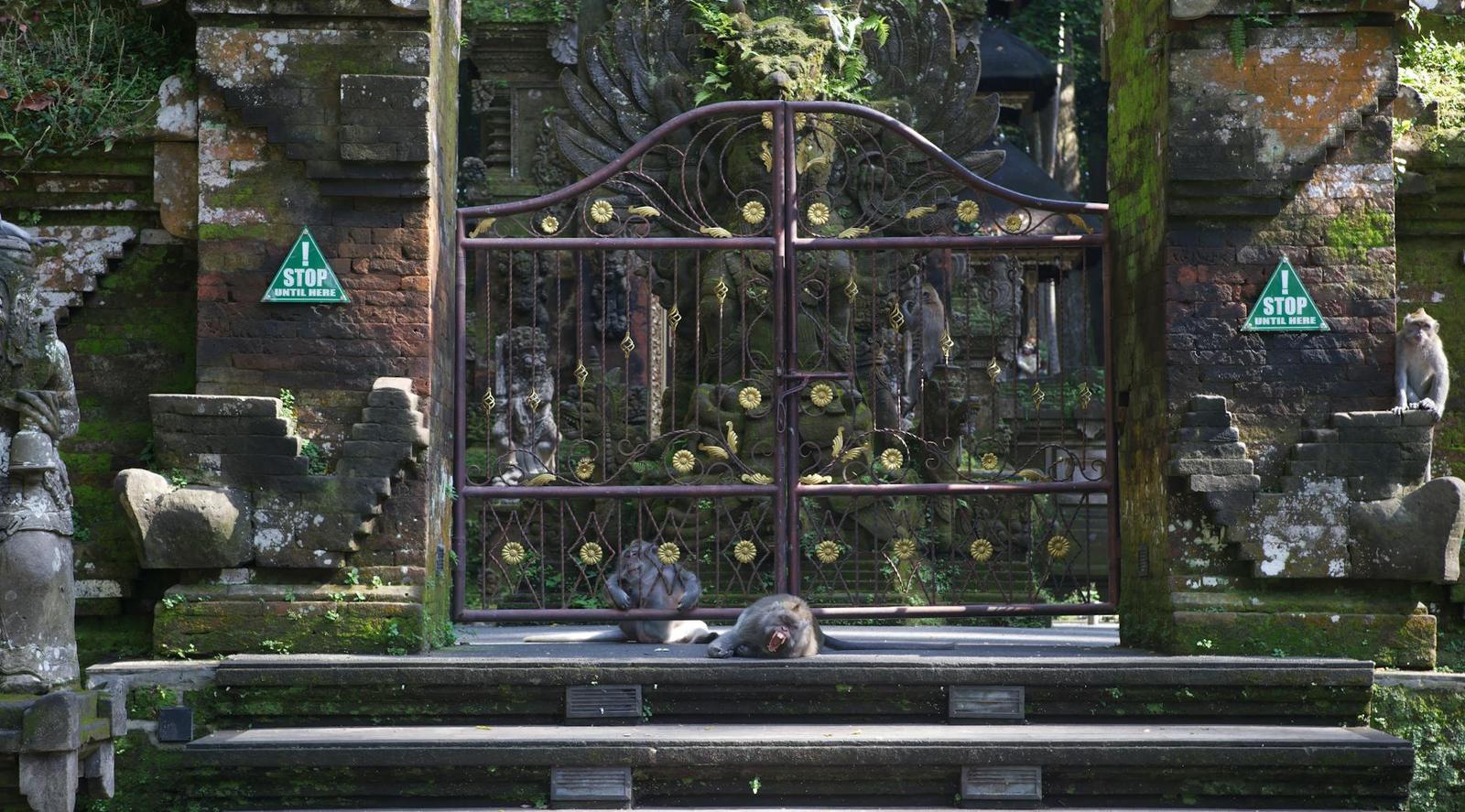 Ubud Village + Ubud Monkey Forest + Tanah Lot Temple on day 3, Indonesia