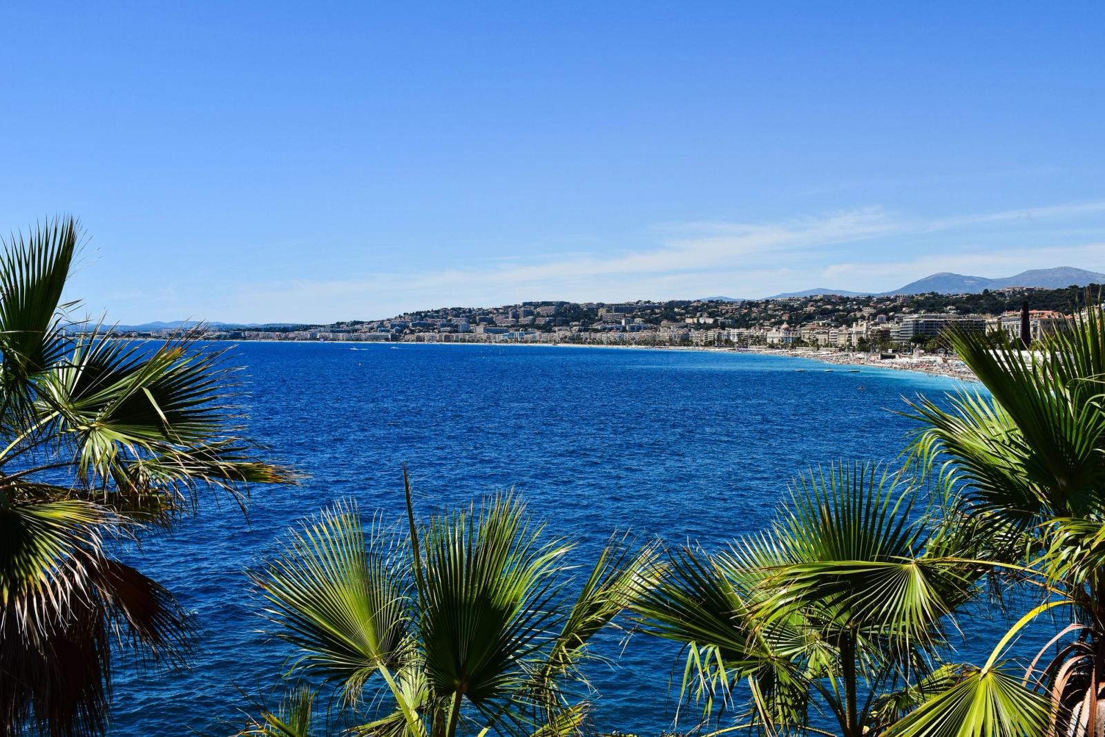 Coastal bay framed by palm fronds under a clear blue sky