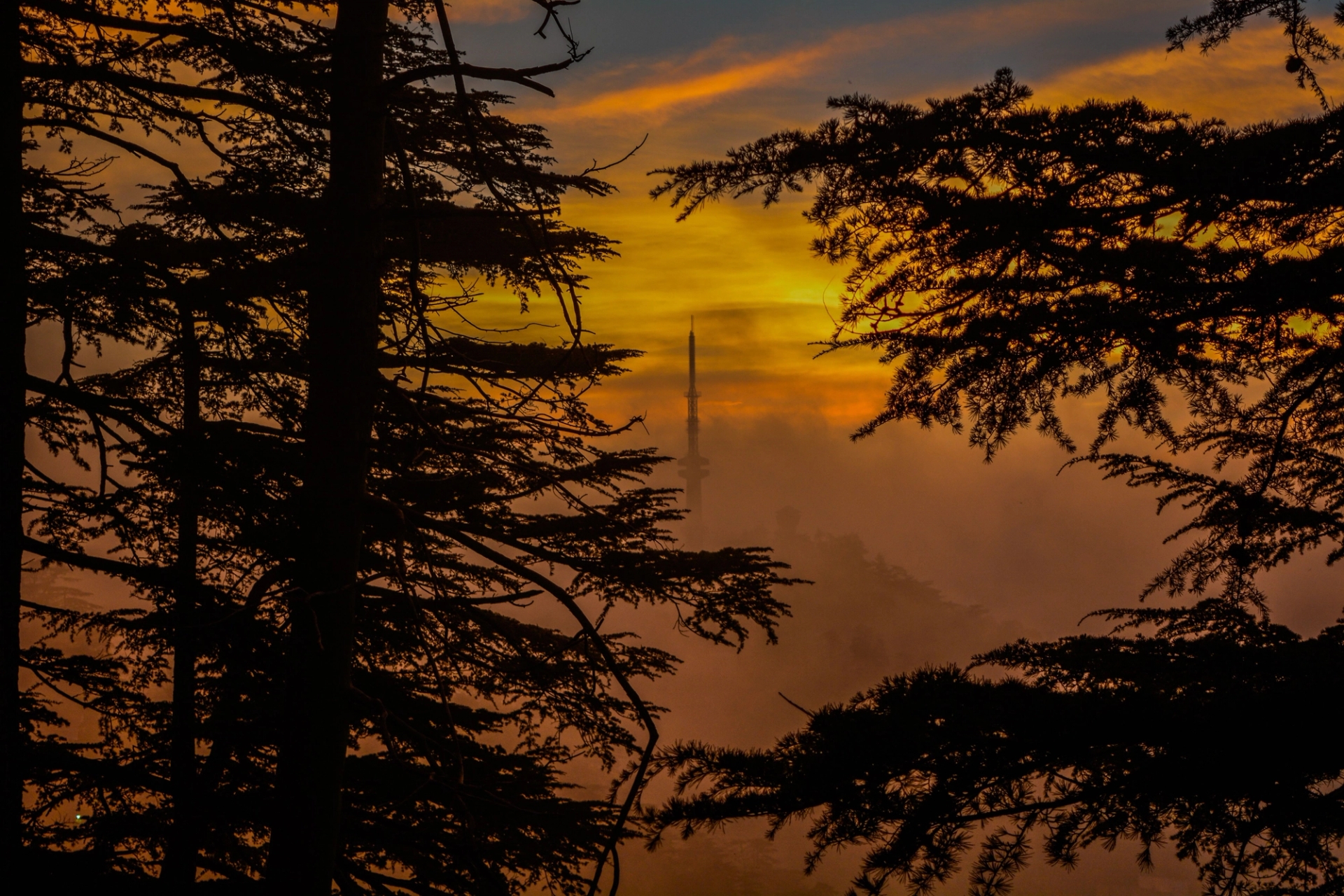 Serene sunset view with a tower silhouette framed by trees in Shimla, India